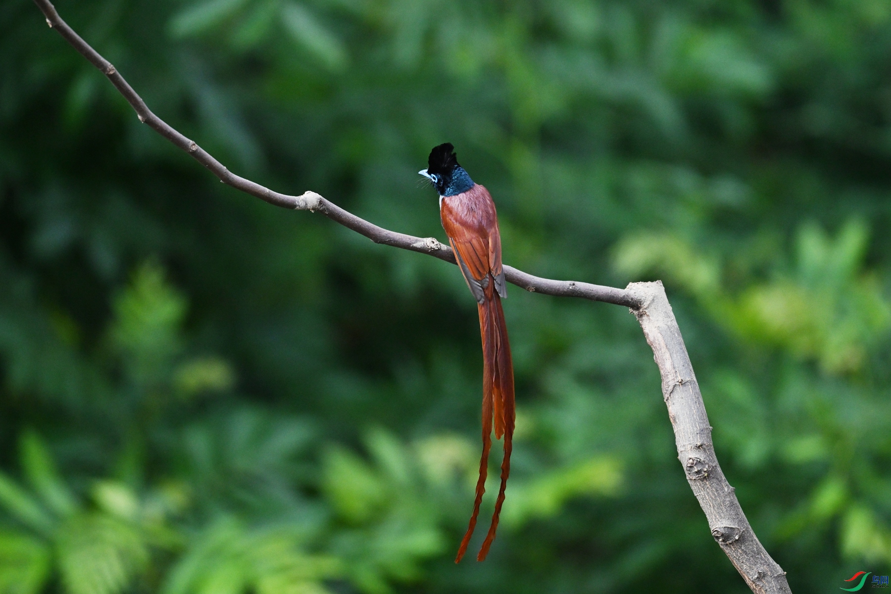 DSC_5627.JPG