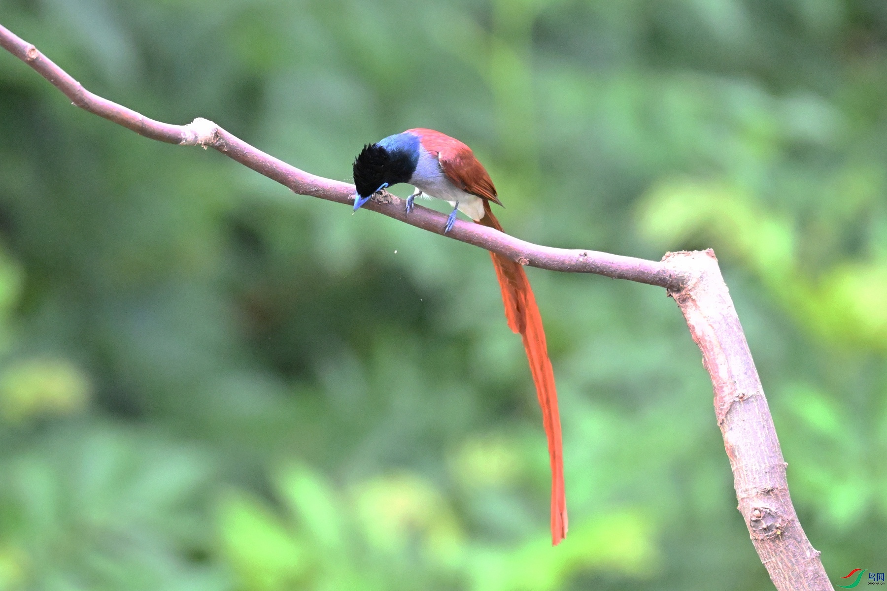 DSC_5566.JPG