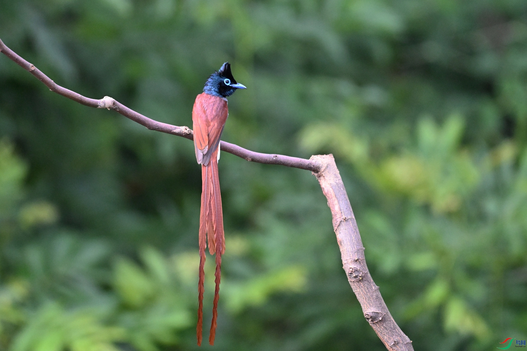DSC_5612.JPG