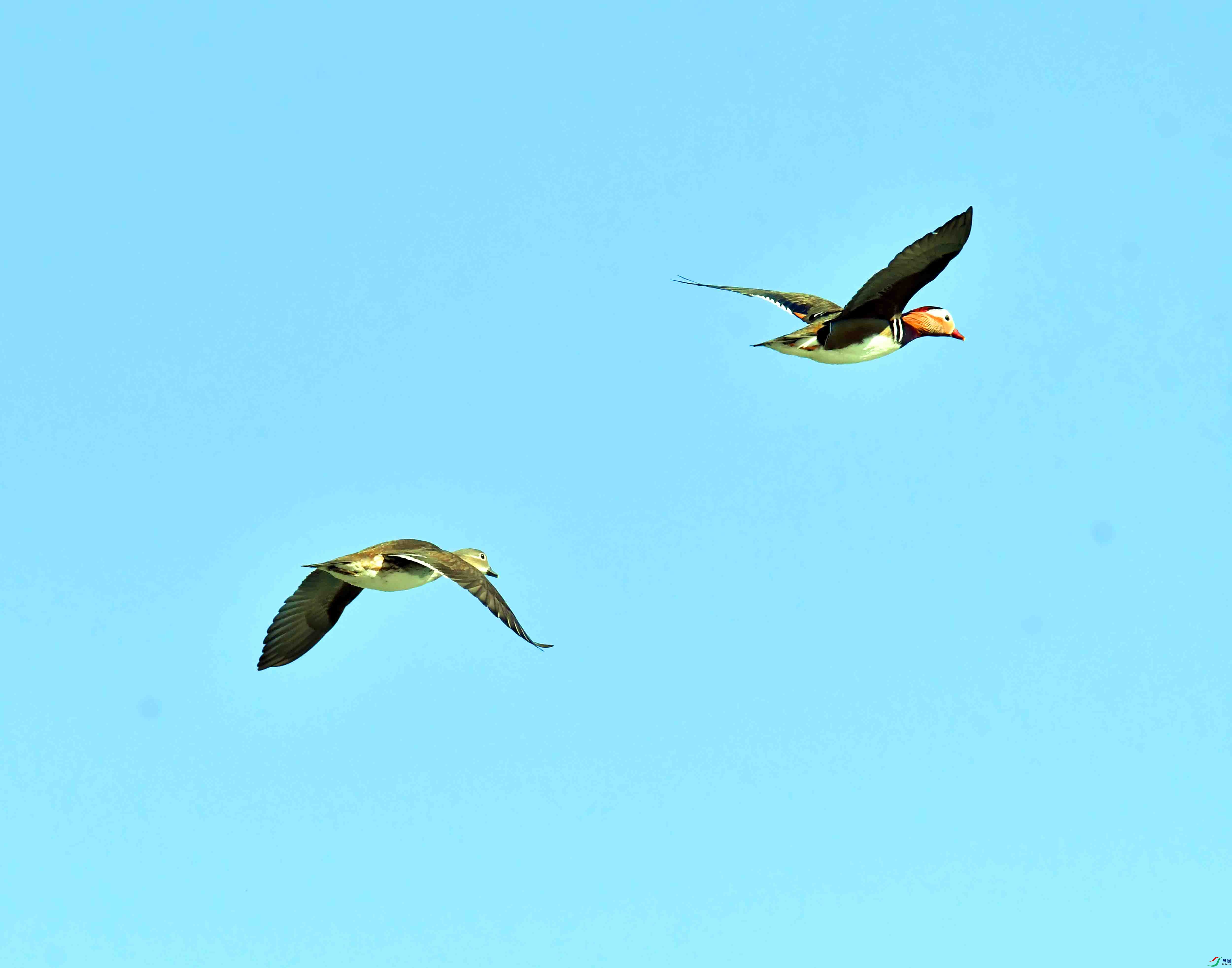 DSC_1571.JPG