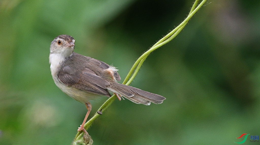 DSC_3525.JPG