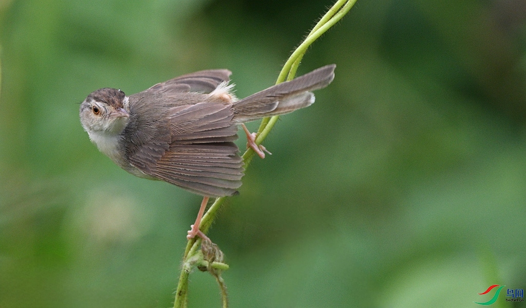 DSC_3534.JPG