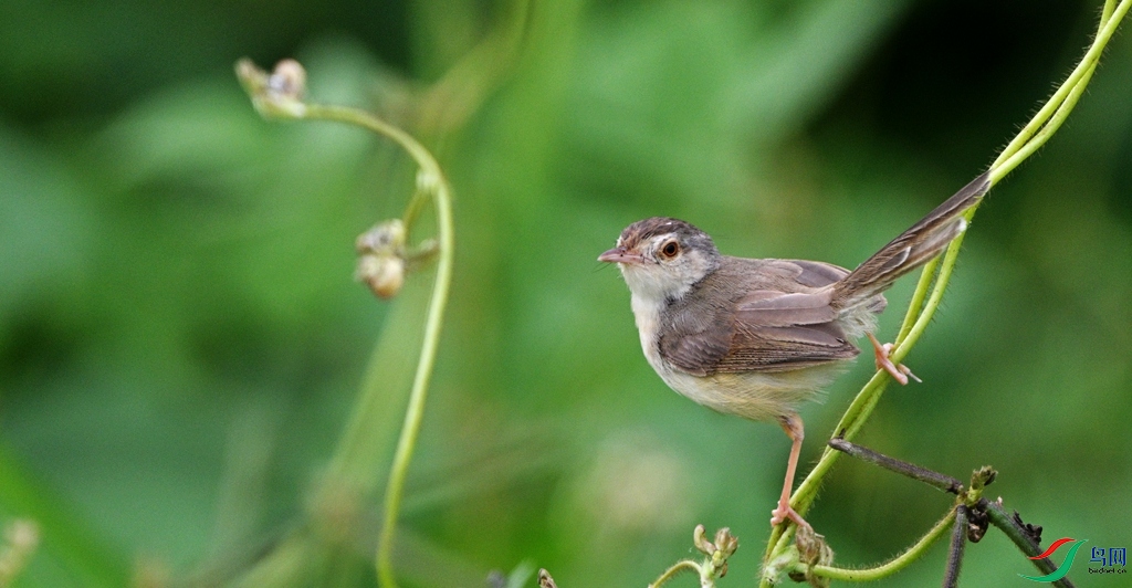 DSC_3520.JPG