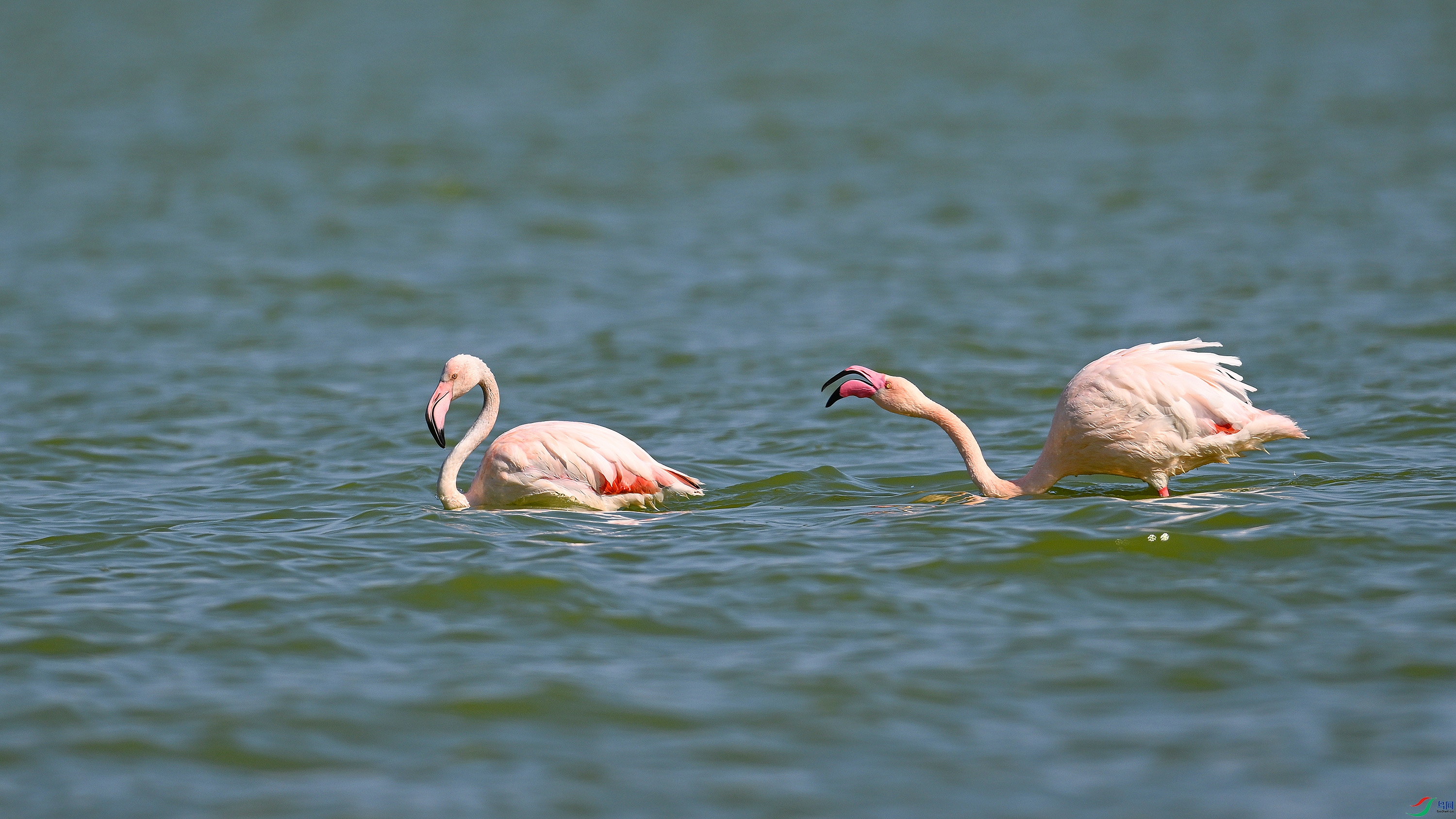DSC_7608.jpg