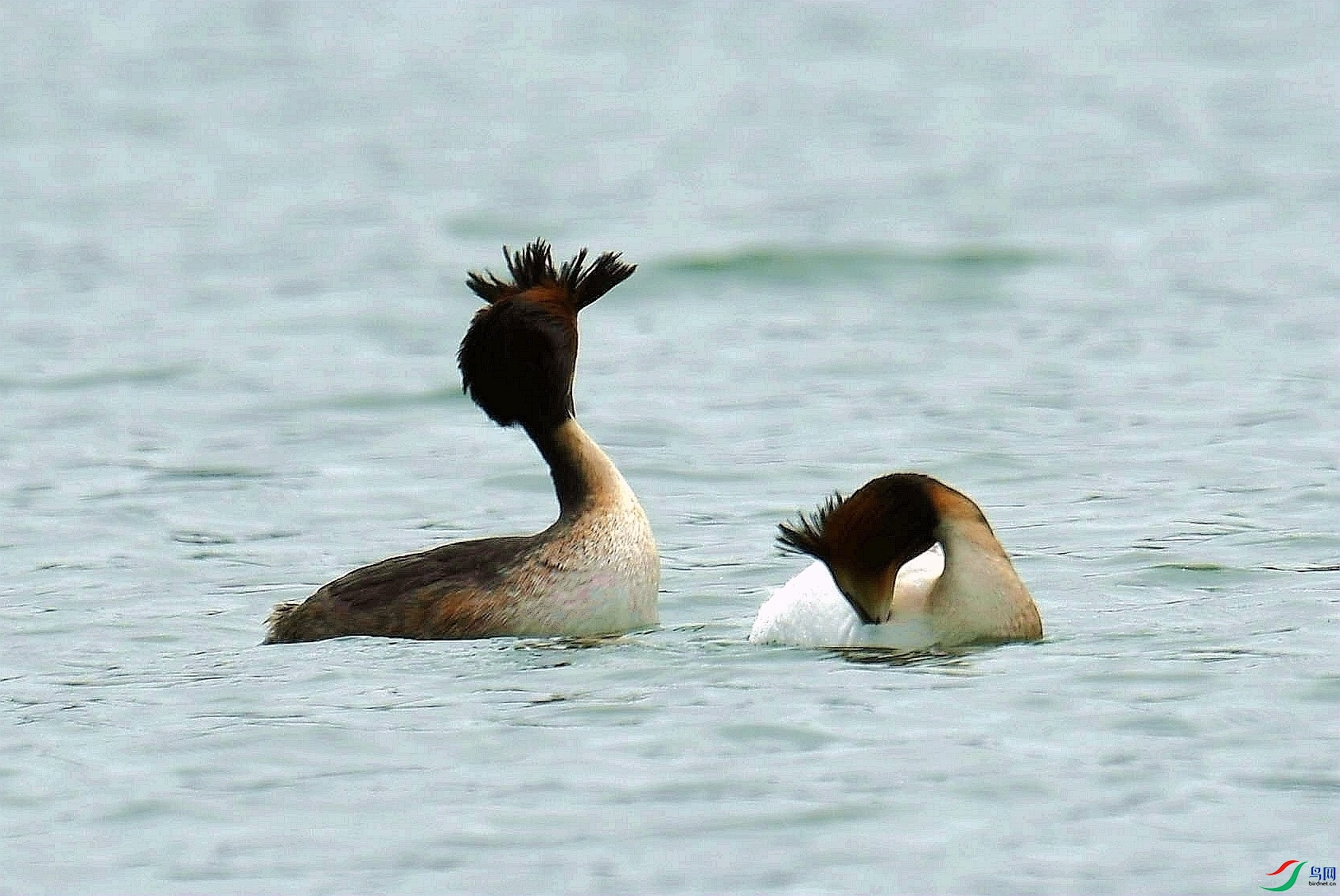 DSC_3980_����.jpg