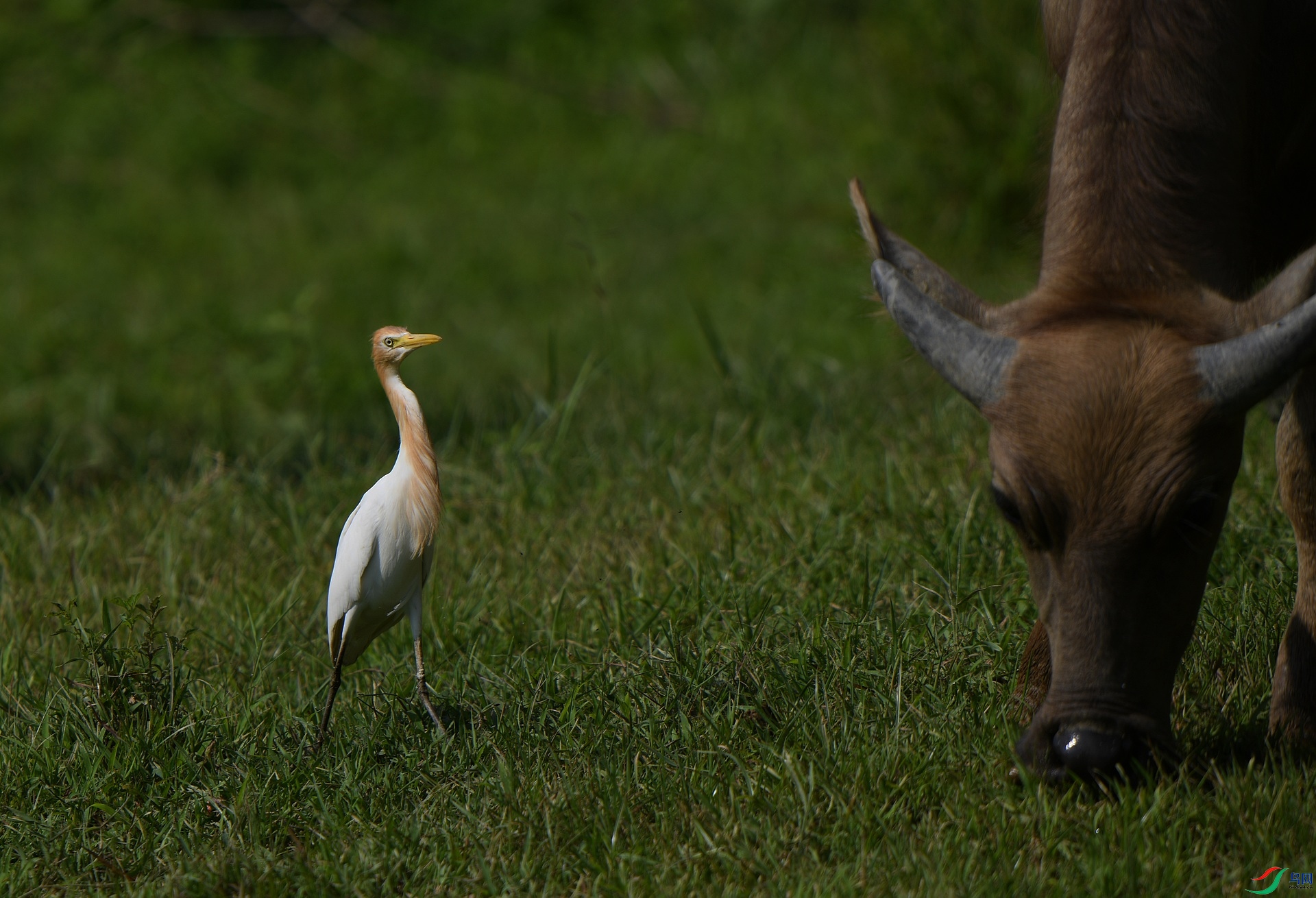 DSC_8726.jpg