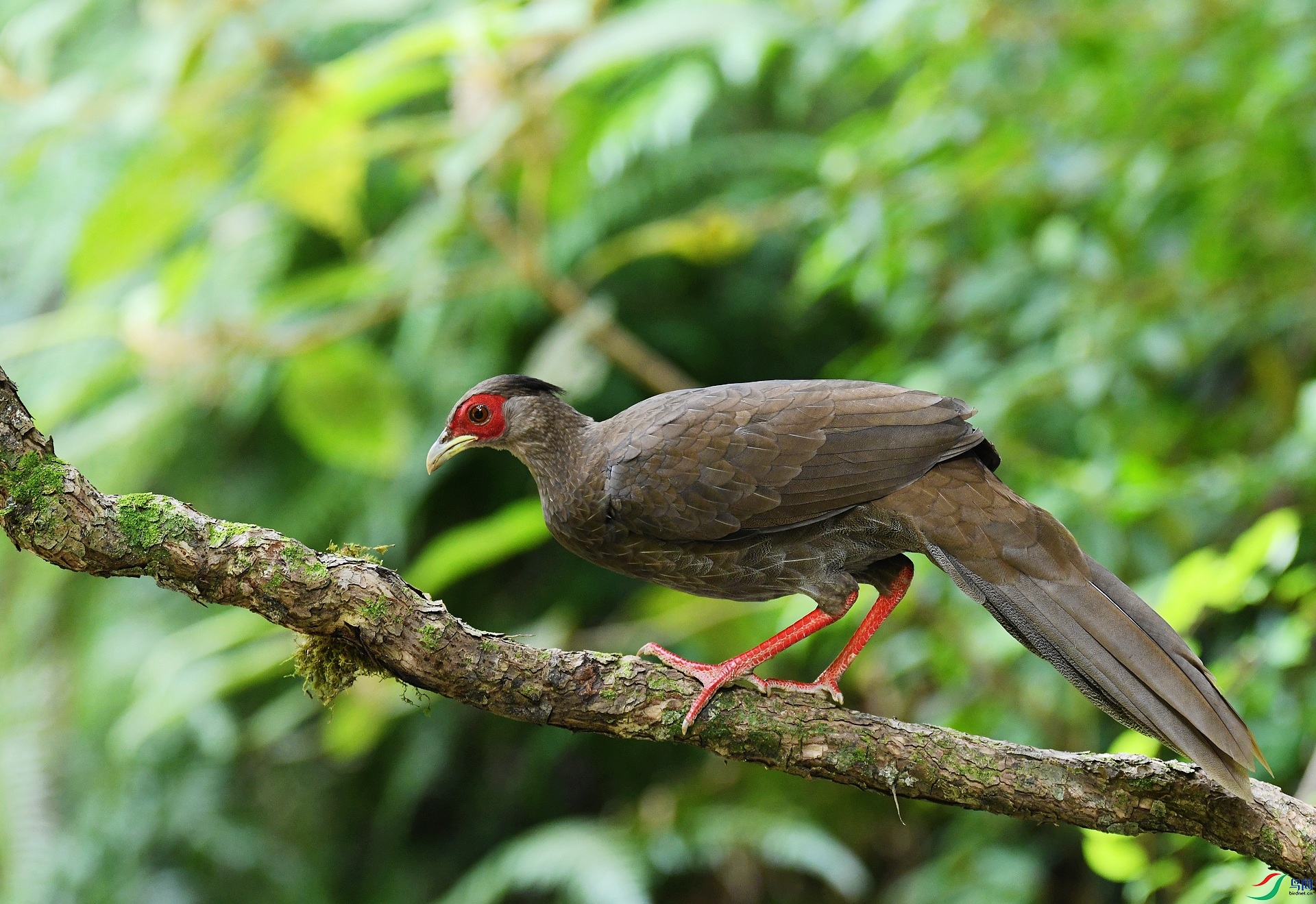DSC_6766.jpg