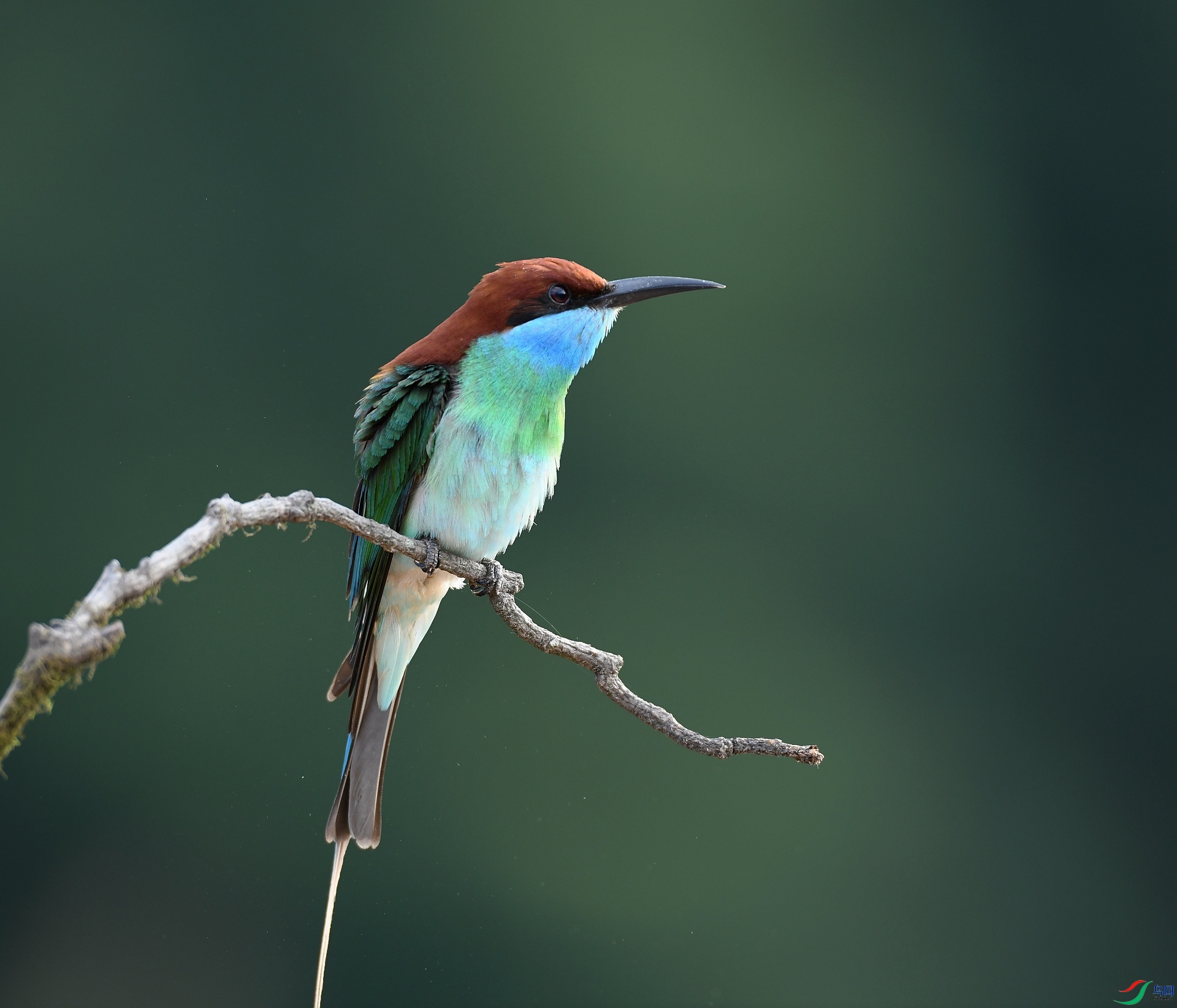 DSC_7890.jpg