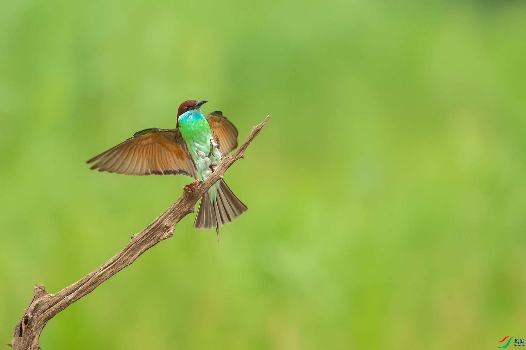 2DSC_6385_DxOa.jpg