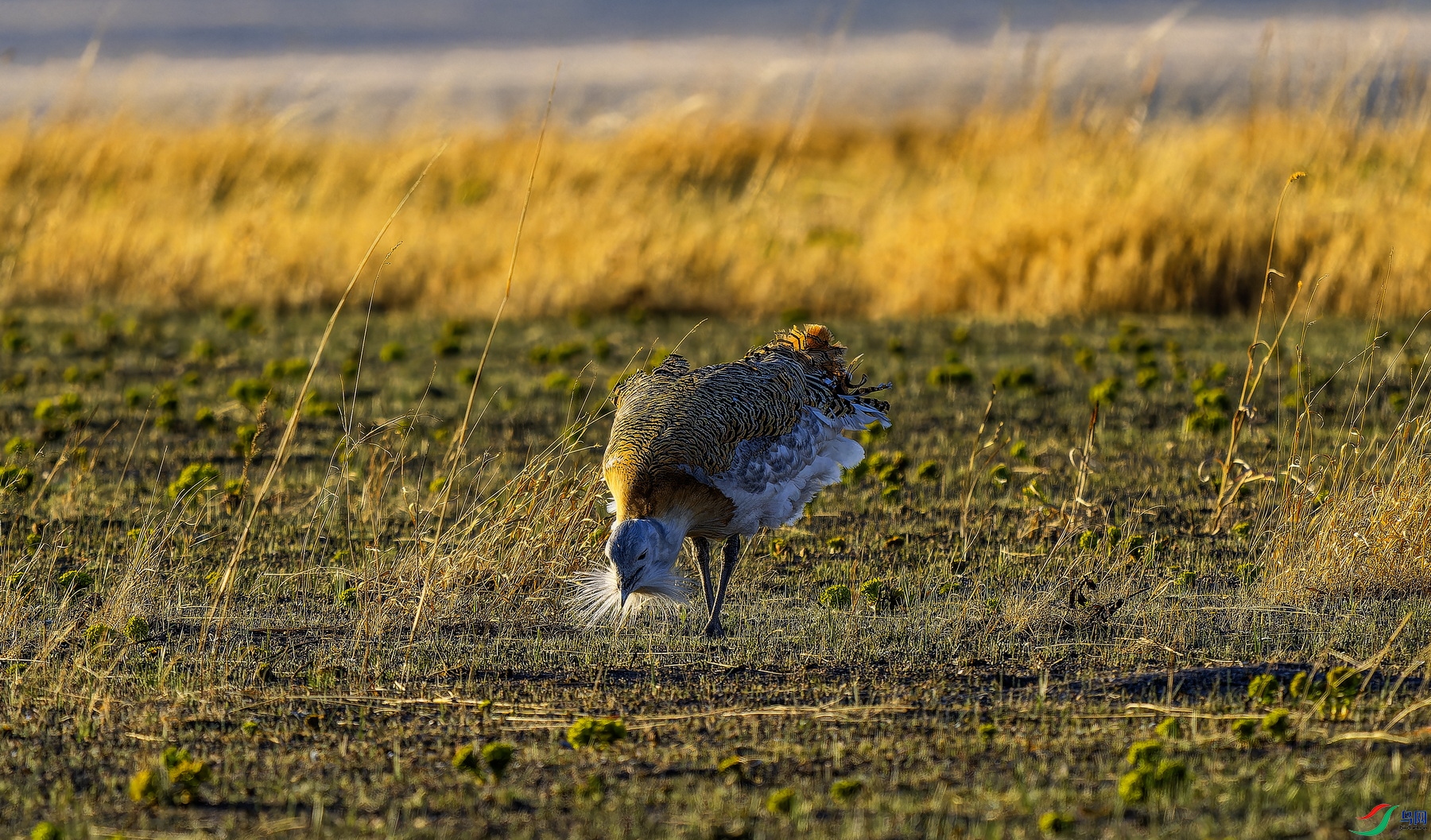 ��� (1)-01.jpg