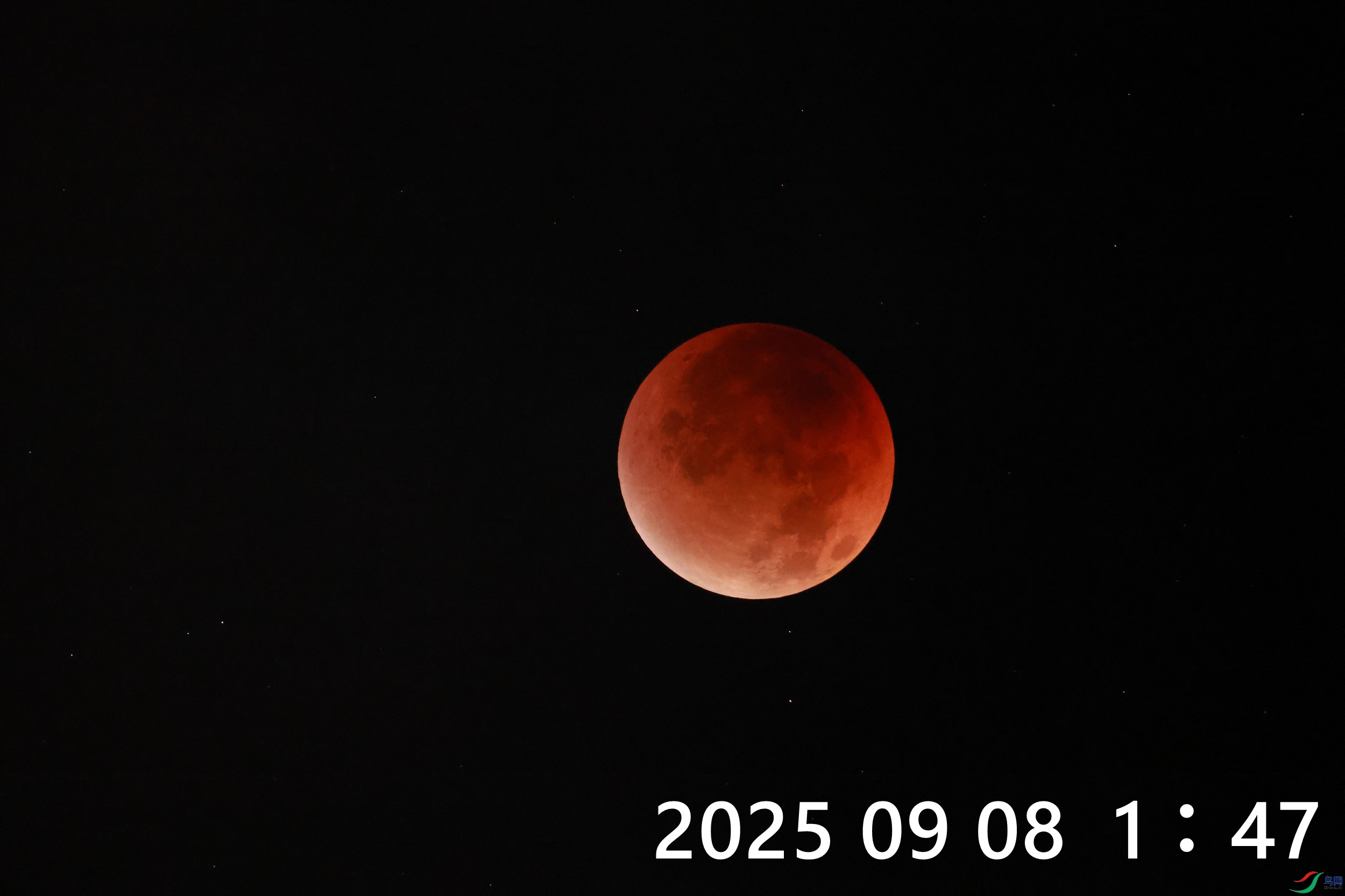 7708_����.jpg