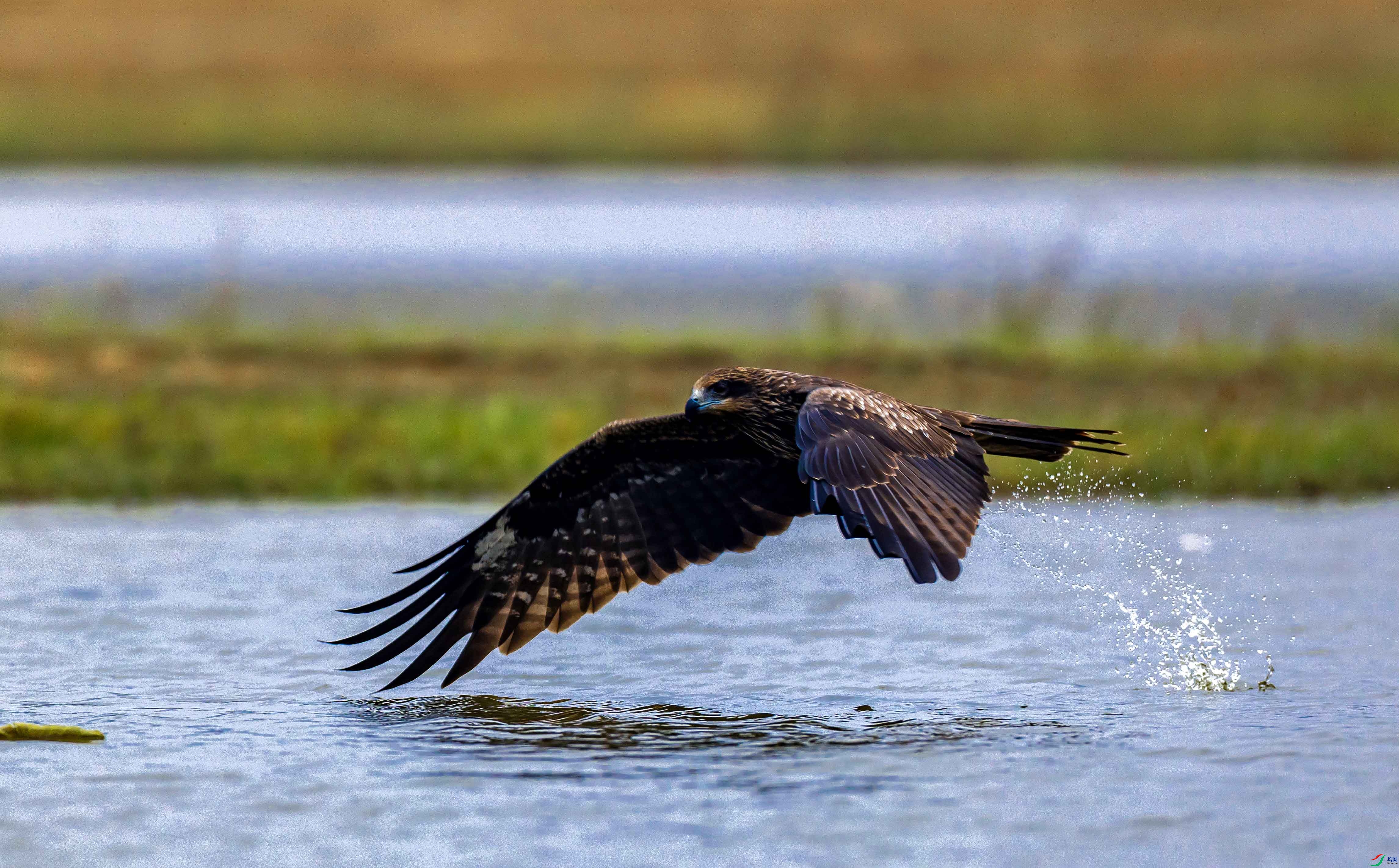 1-4L2A7718 չ�� -������.jpg