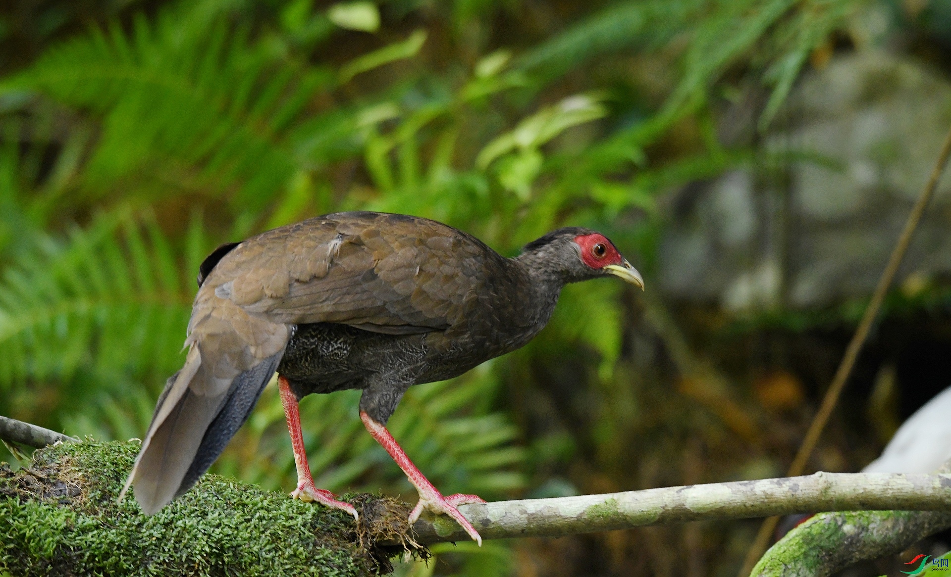 DSC_4732.jpg