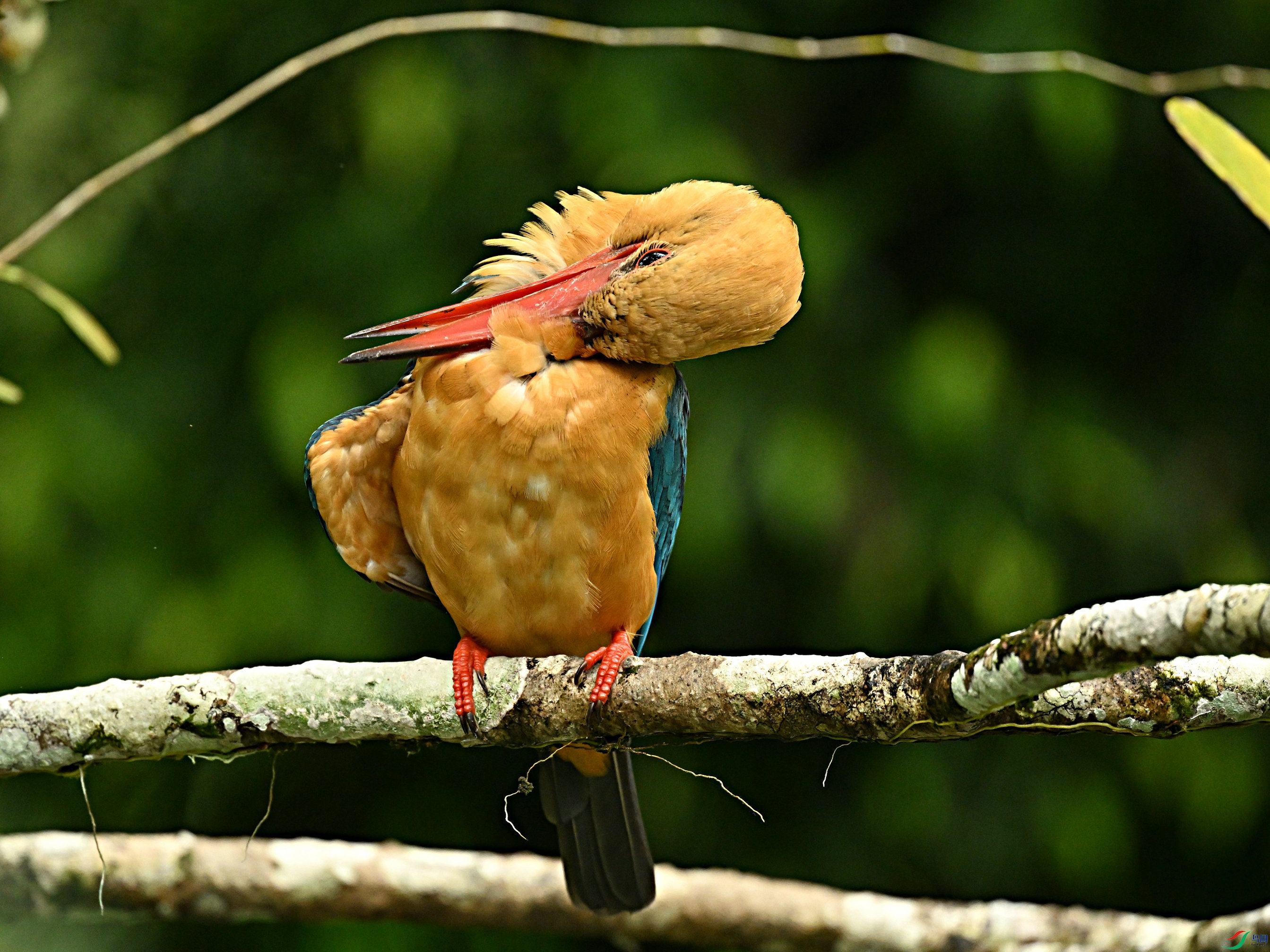 DSC_0105.jpg