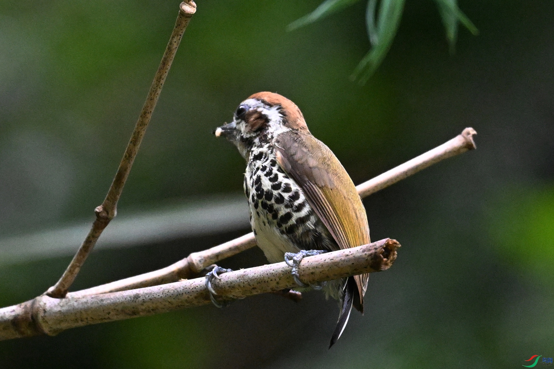 DSC_8692.JPG
