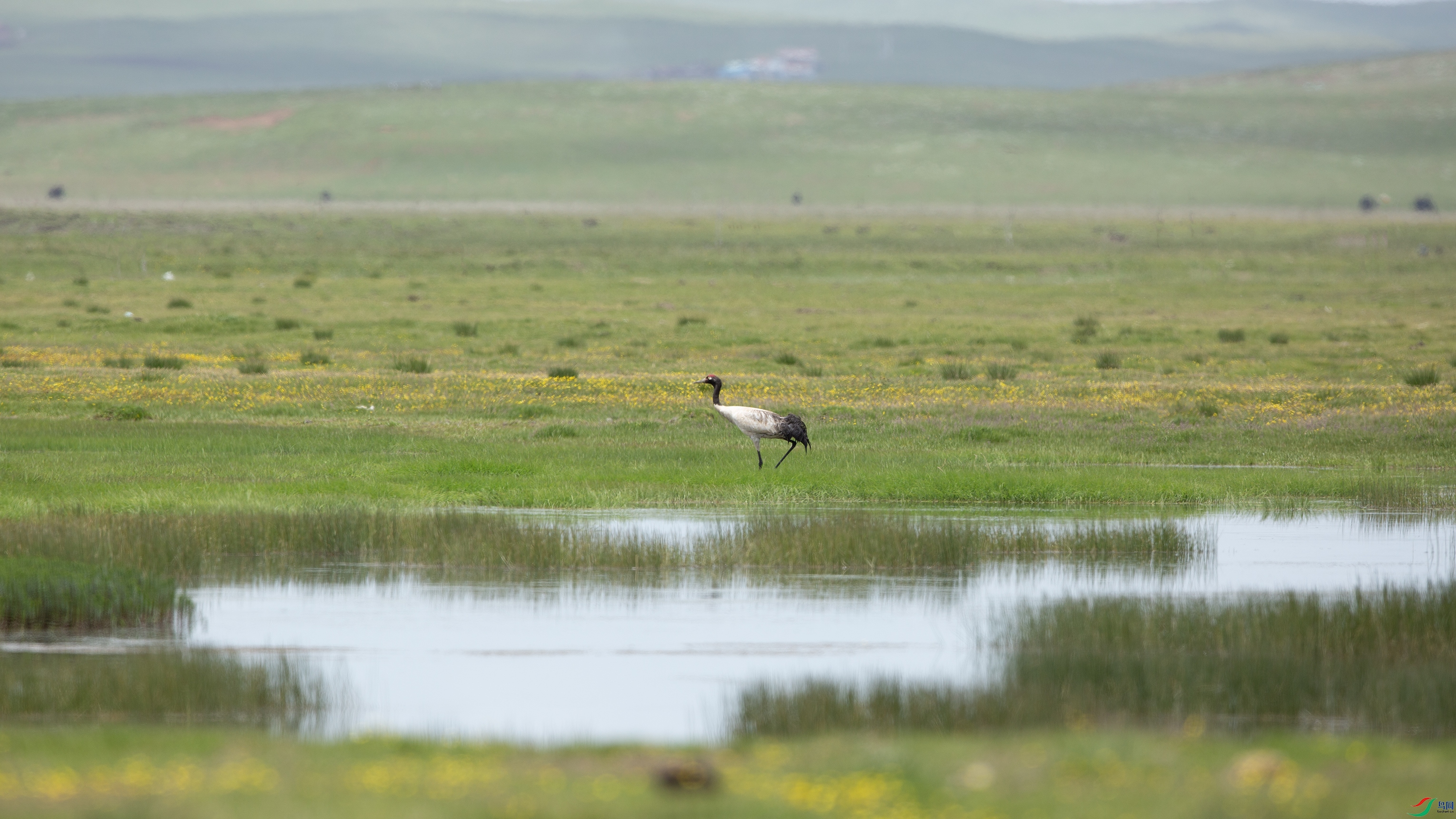 _39A0119 ����44444.jpg