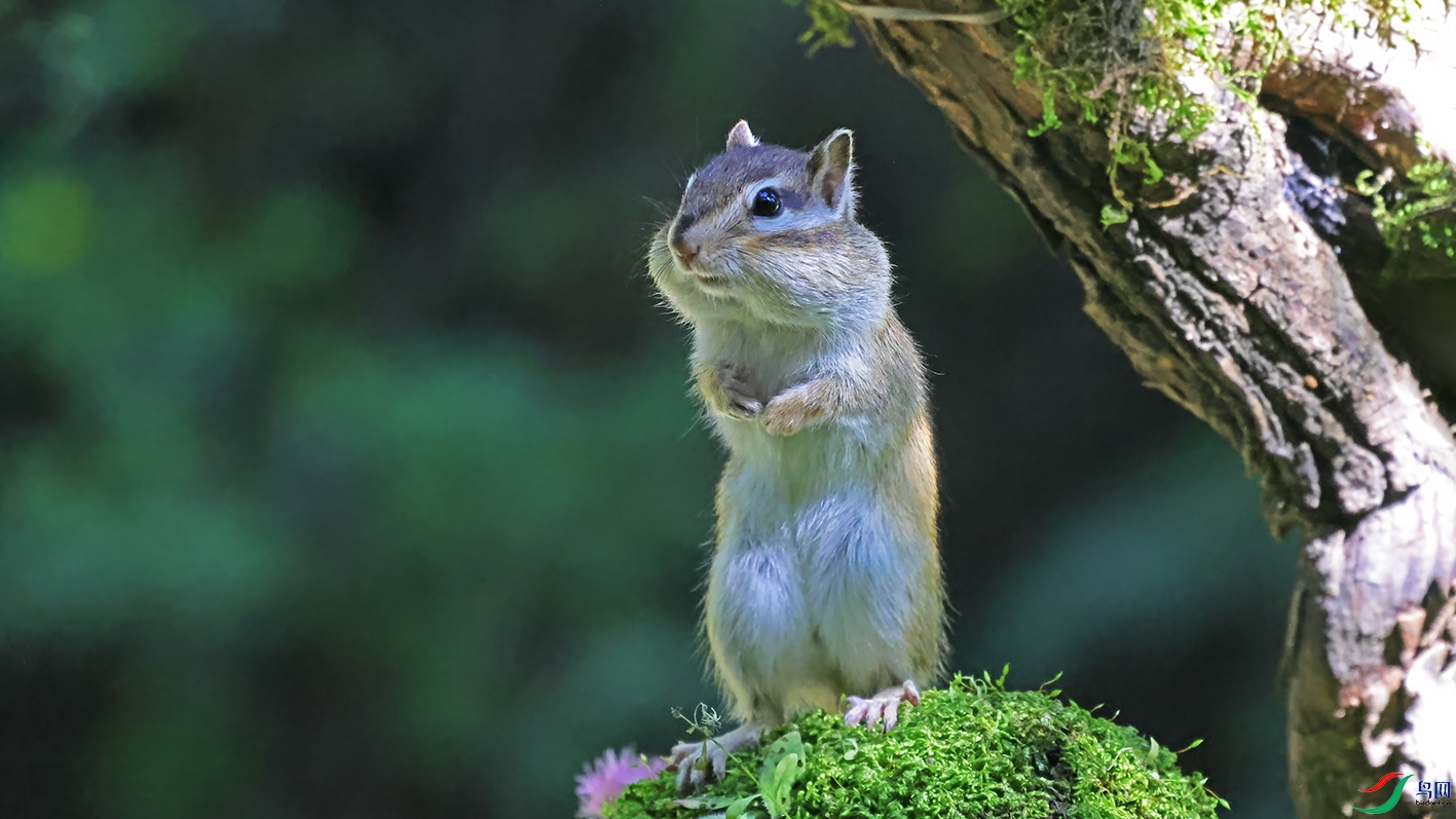 3U2A0783 ���� 2.jpg