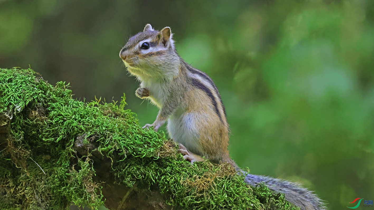 3U2A0893 ���� 2.jpg