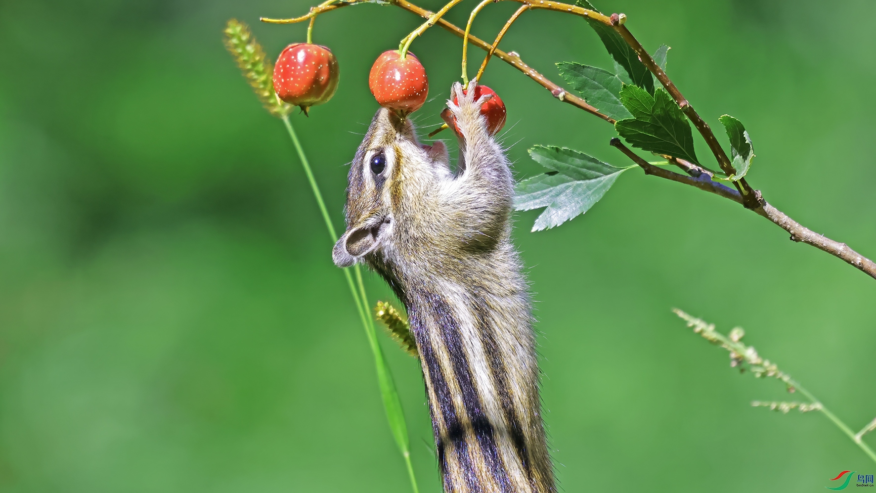 3U2A1769 ���� 2.jpg