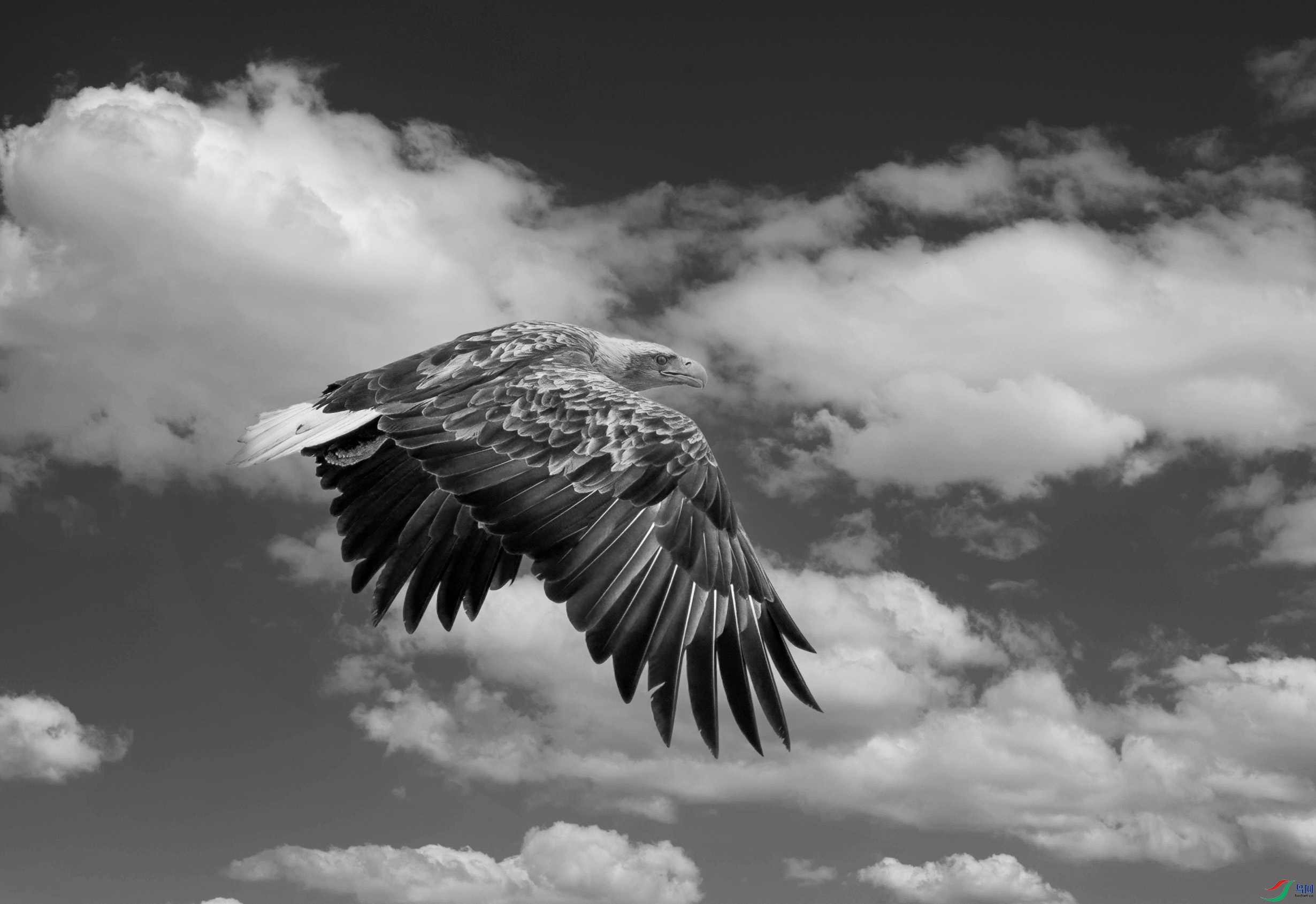 DSC04972 ����.jpg