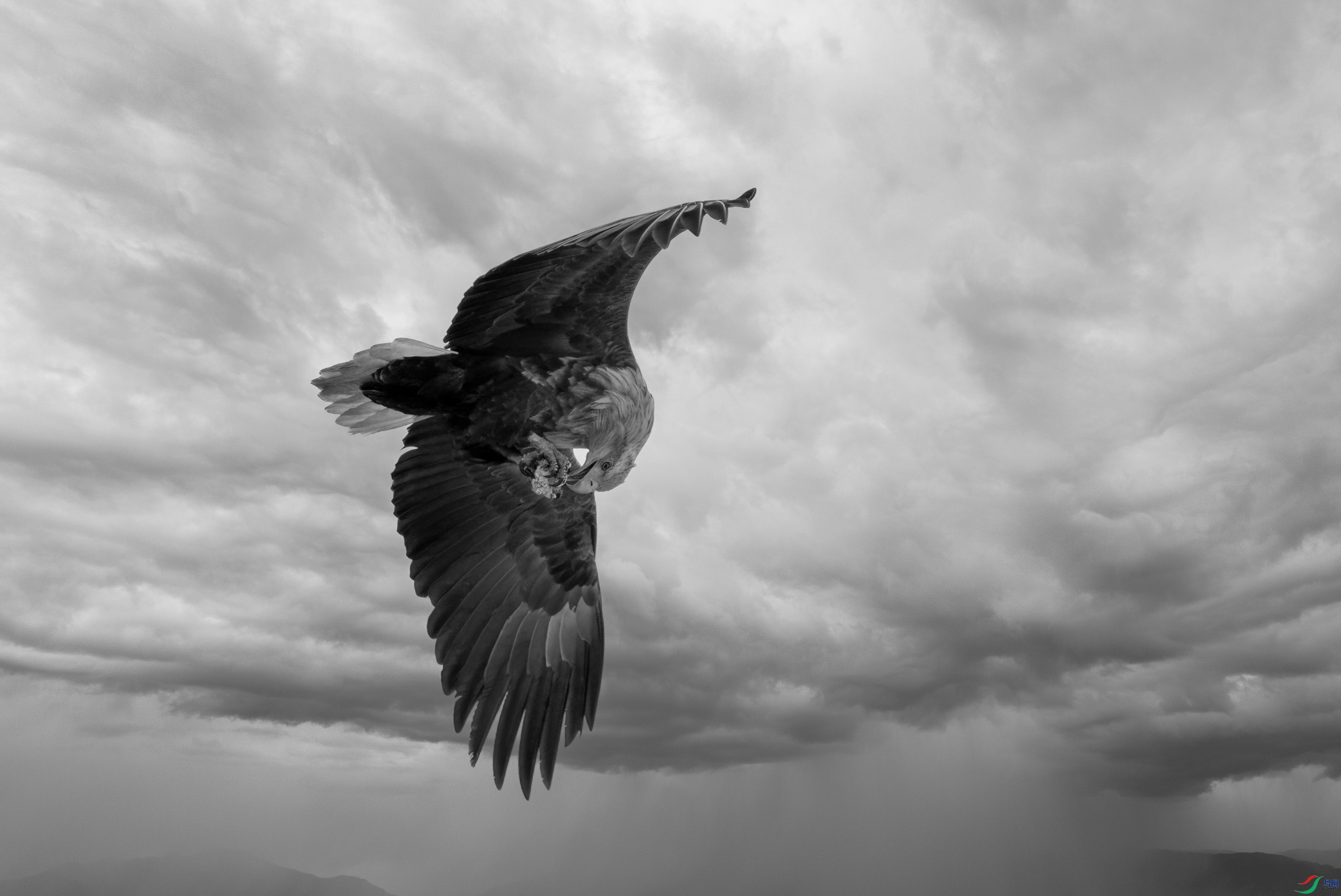 DSC05077 ����.jpg