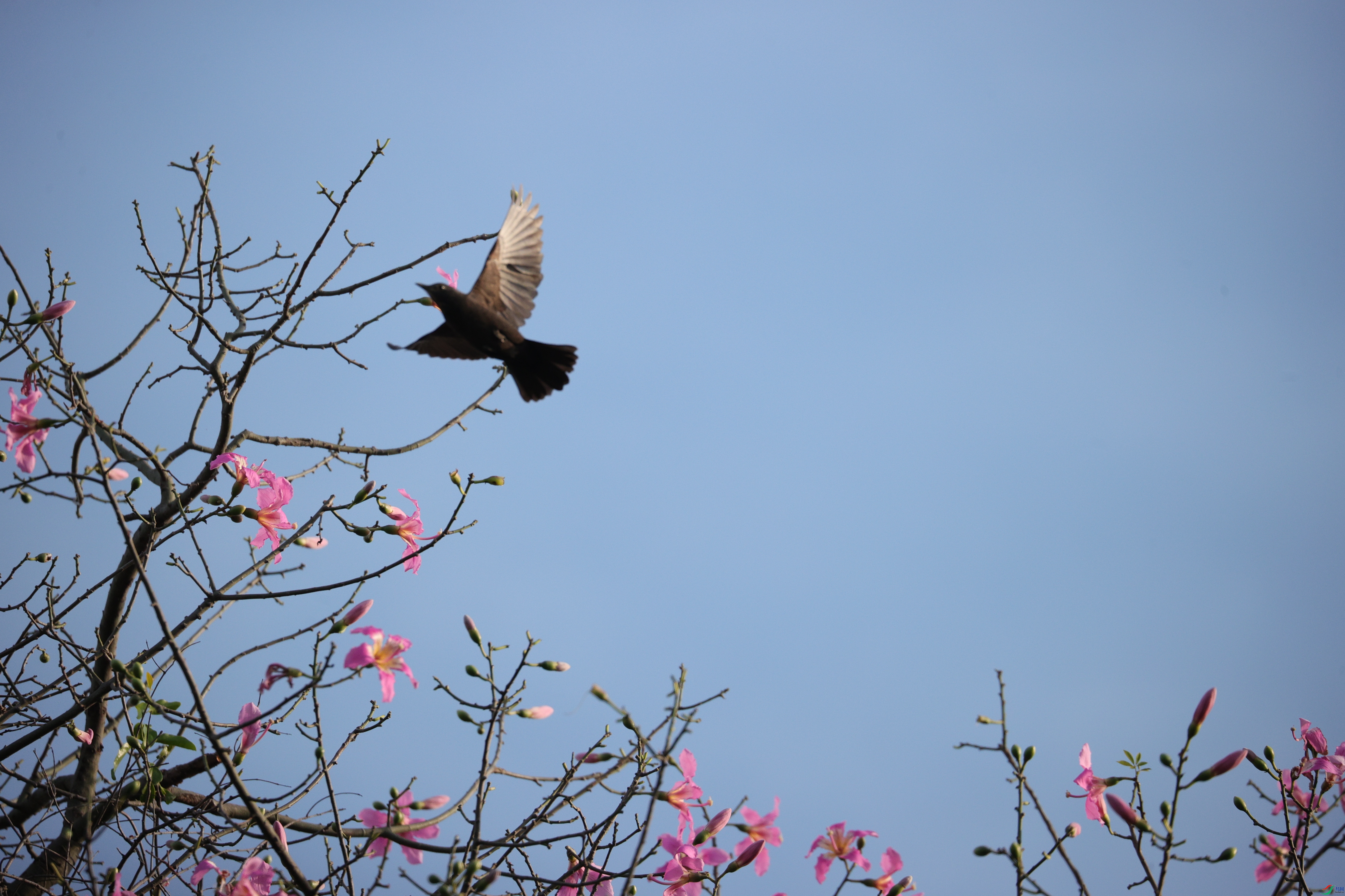 4608��ש����