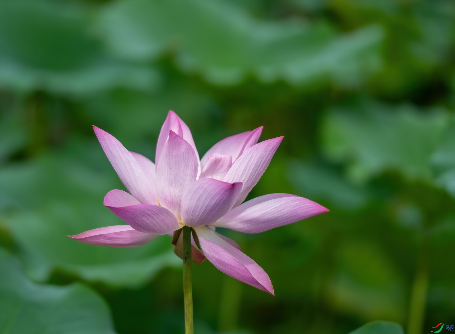 DSC_2499.jpg