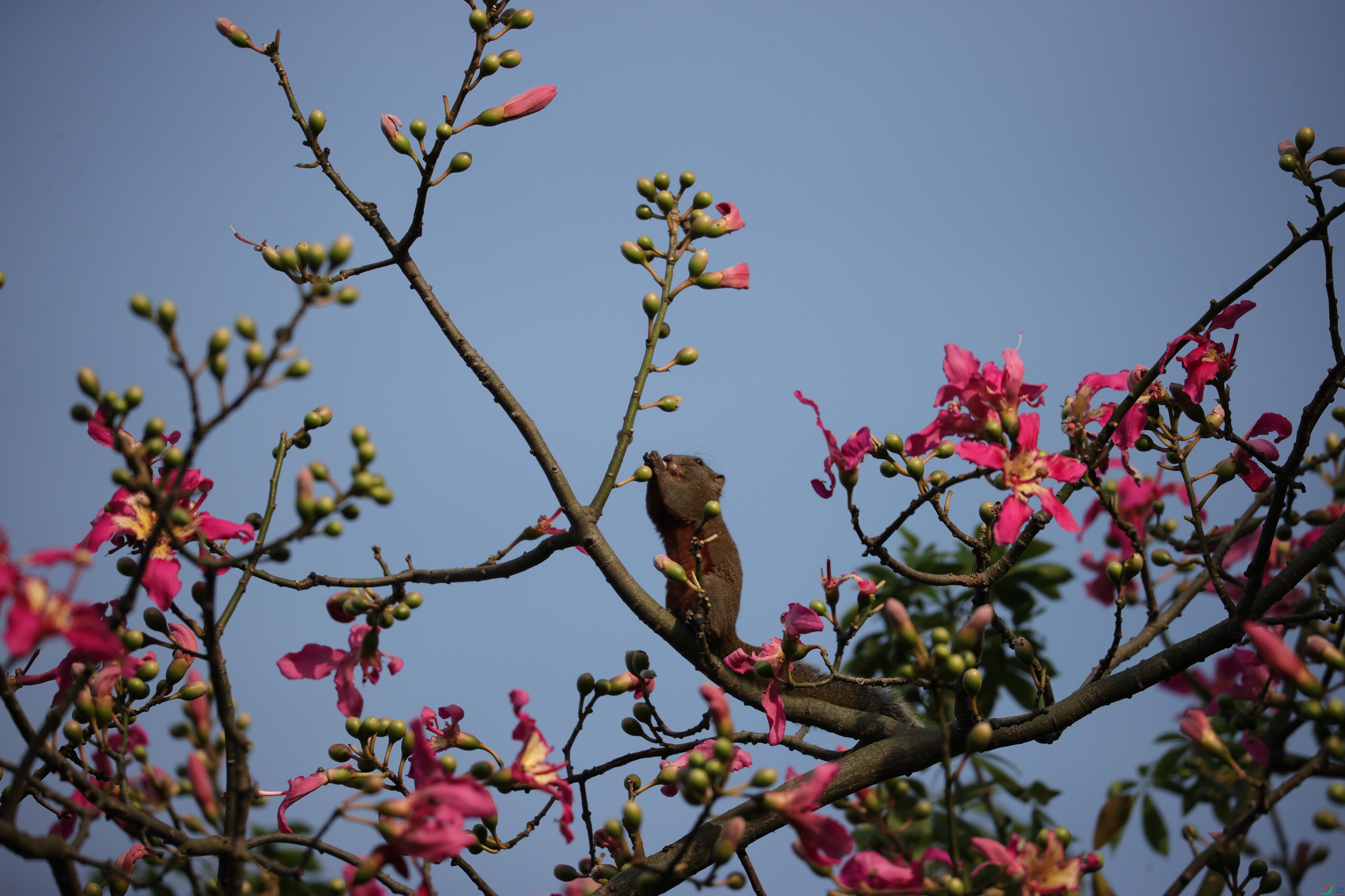 4616��ש����