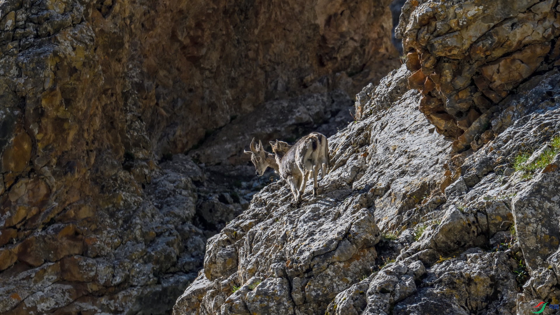 _DSC7595_����.jpg