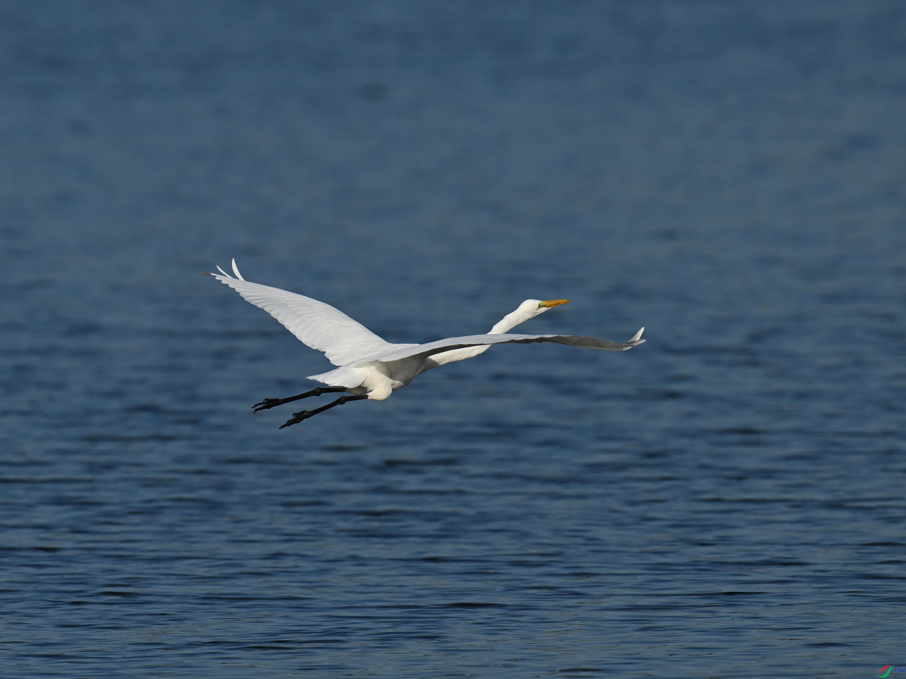 DSC_6551_����.jpg
