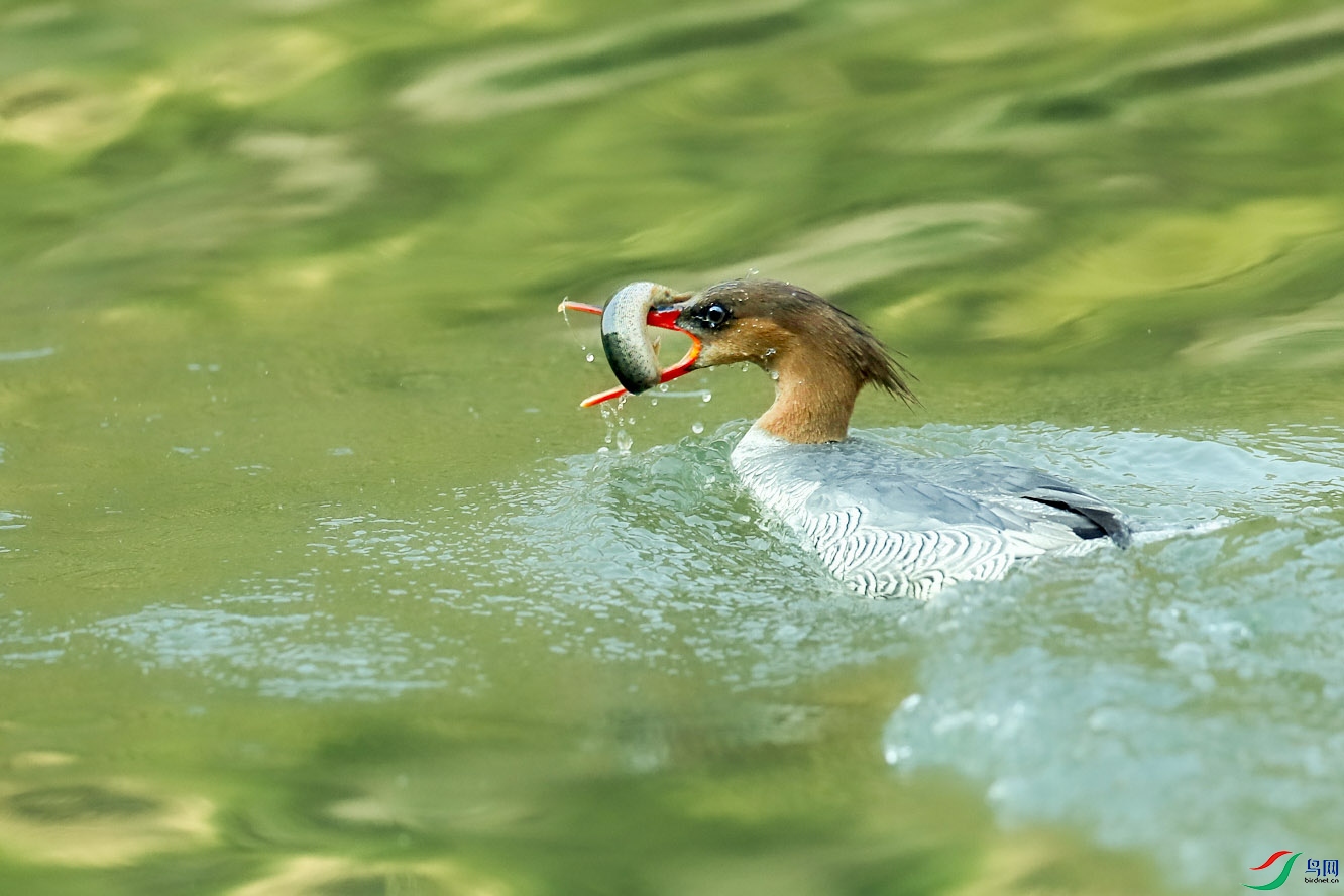 _U4I4843 ���� 2.jpg