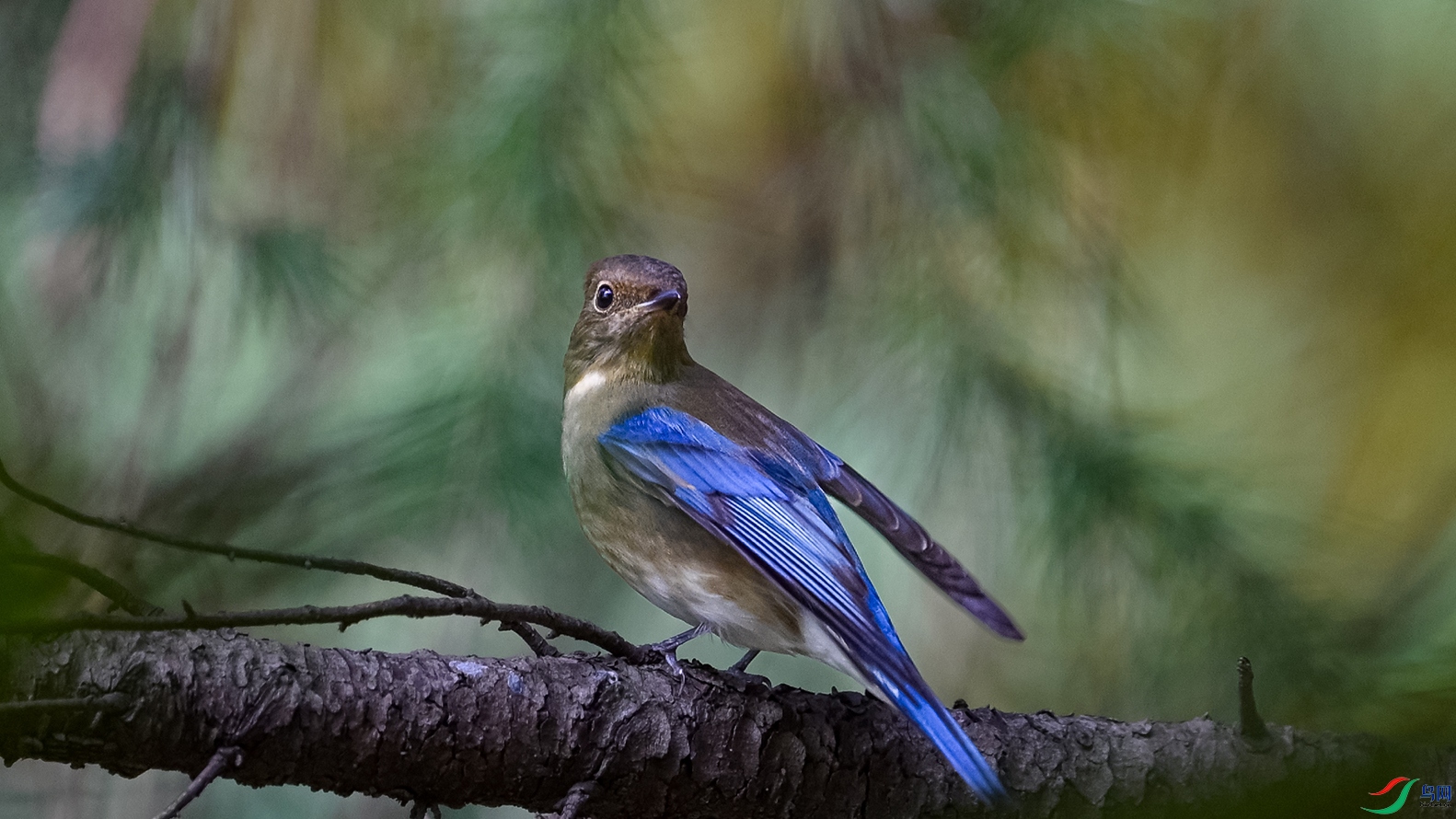 DSC_5289.jpg