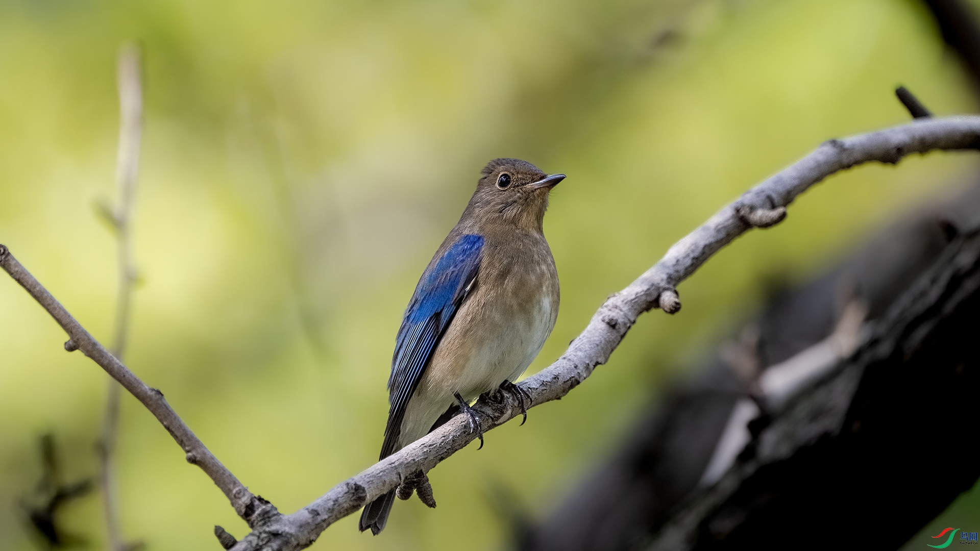 DSC_5611.jpg