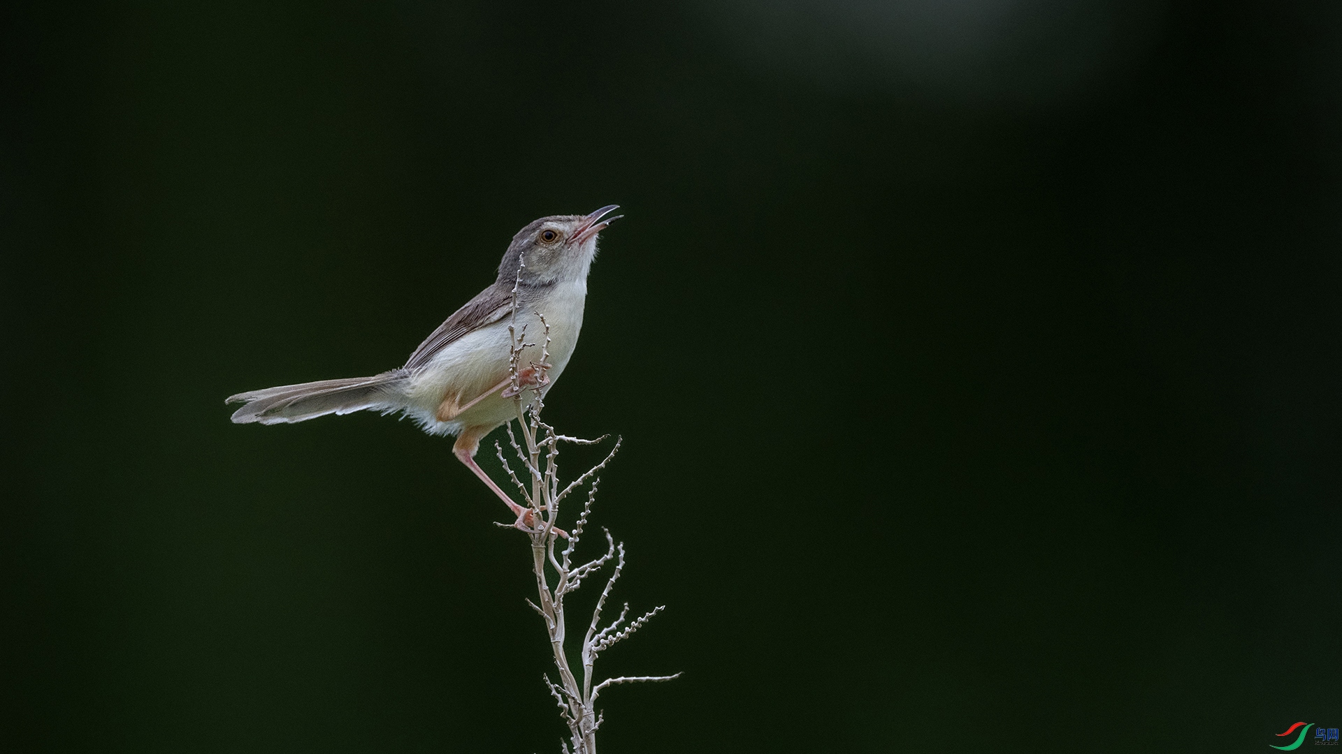 DSC_5660.jpg