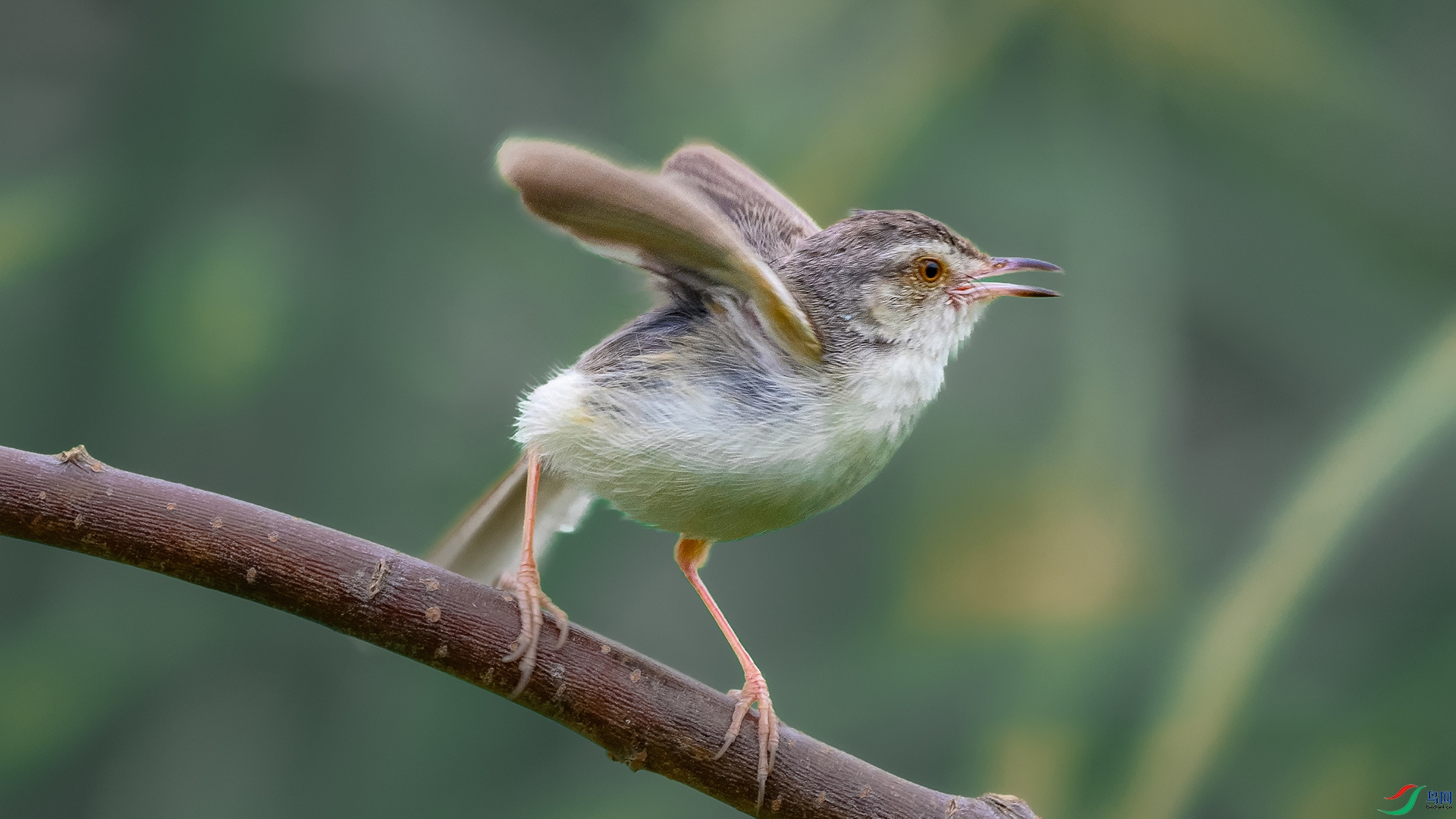 DSC_7614.jpg