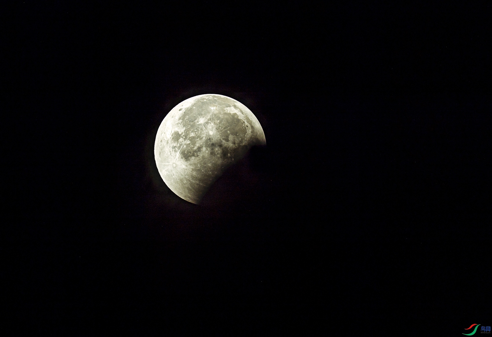 _5LM1447a.jpg