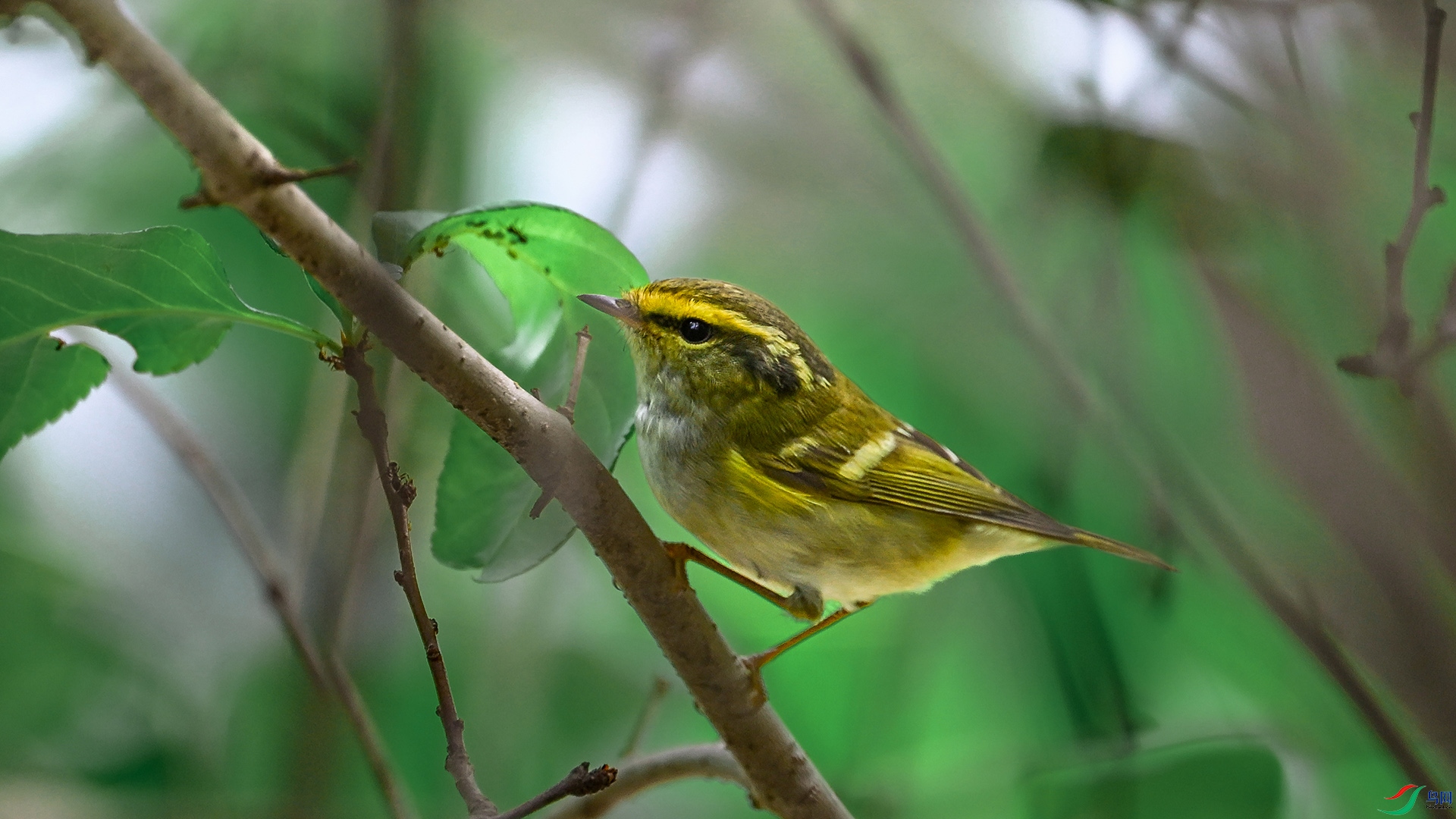 DSC_5911.jpg