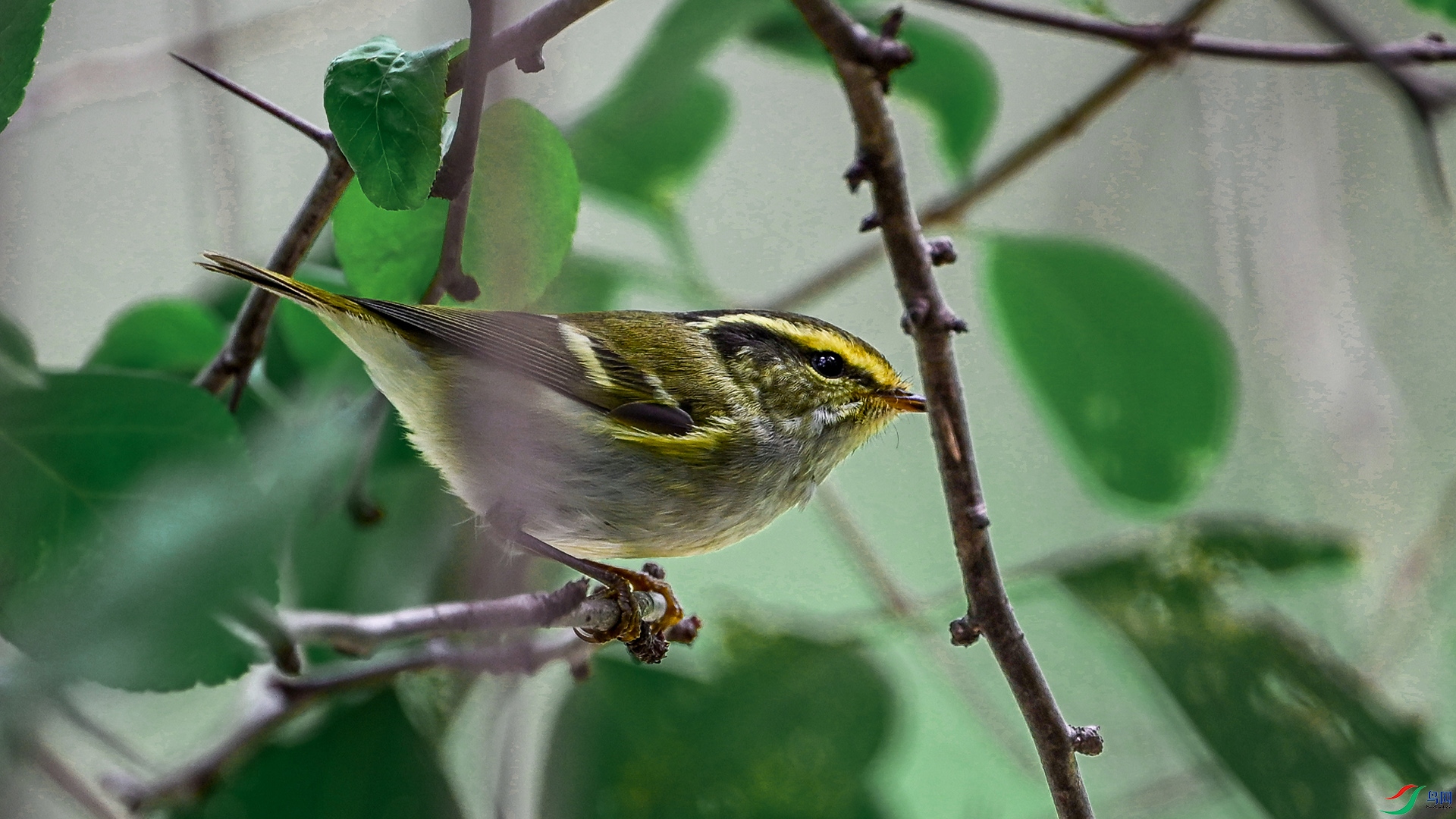 DSC_6188.jpg