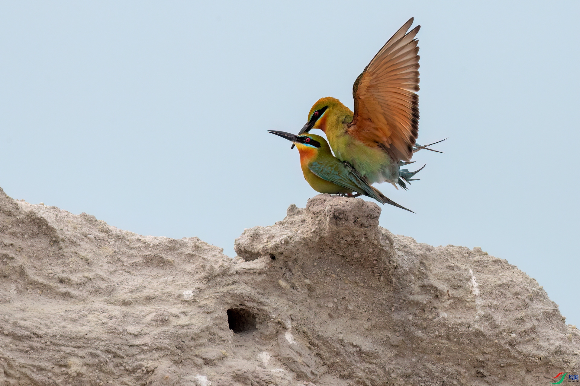 B86I6881 _����.jpg