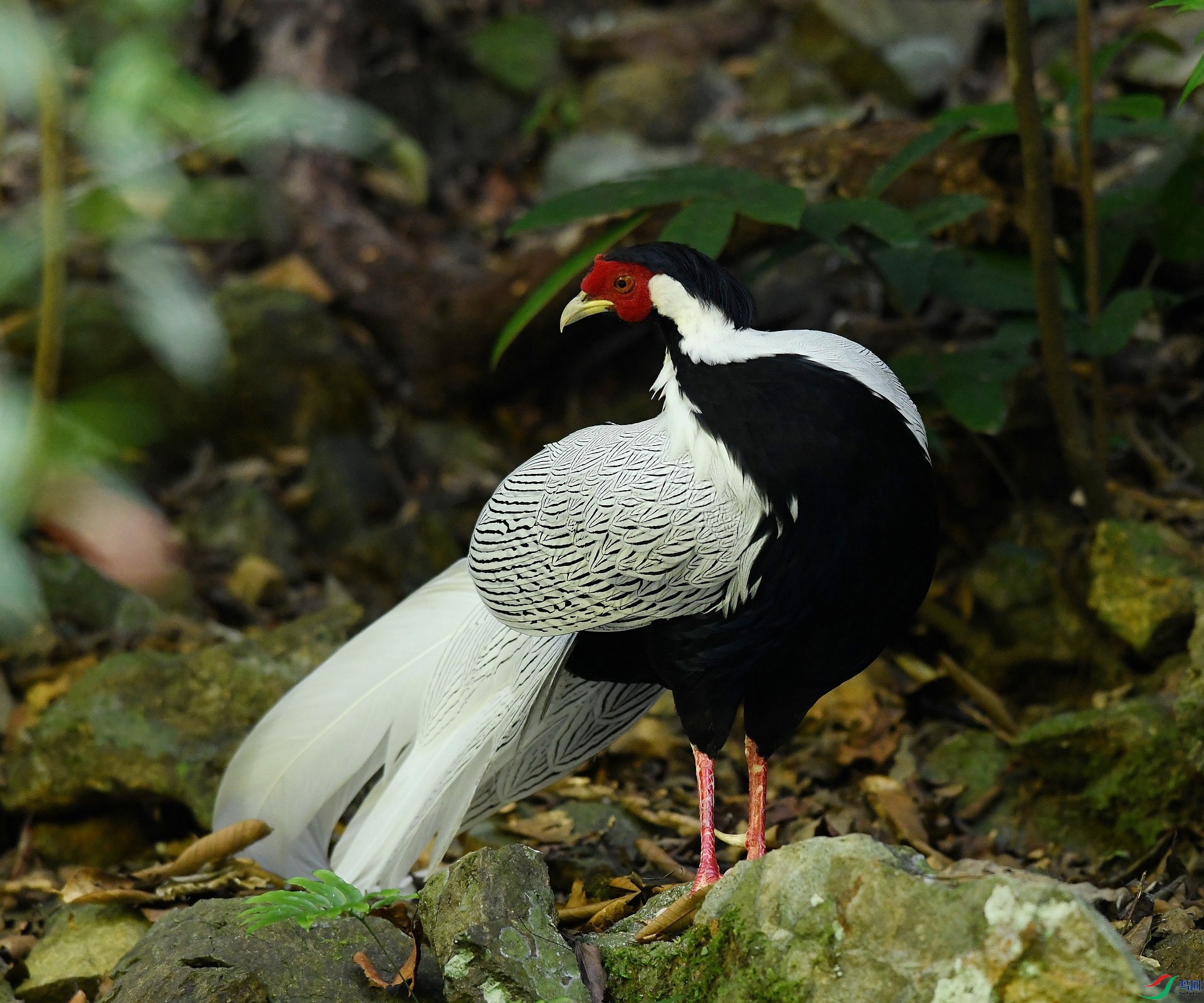 DSC_3652.jpg