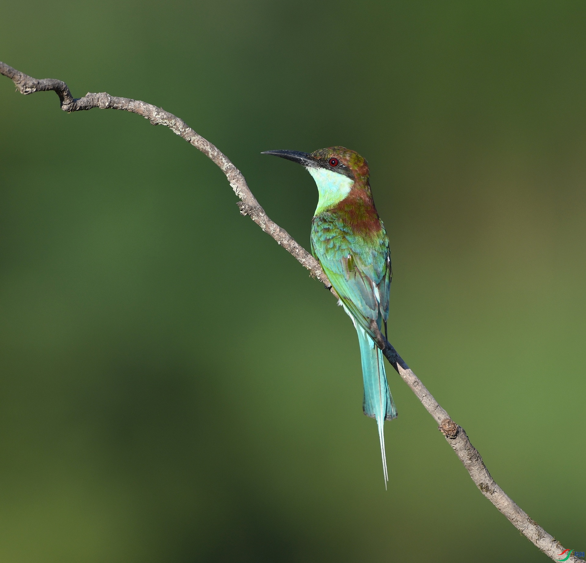 DSC_4162.jpg