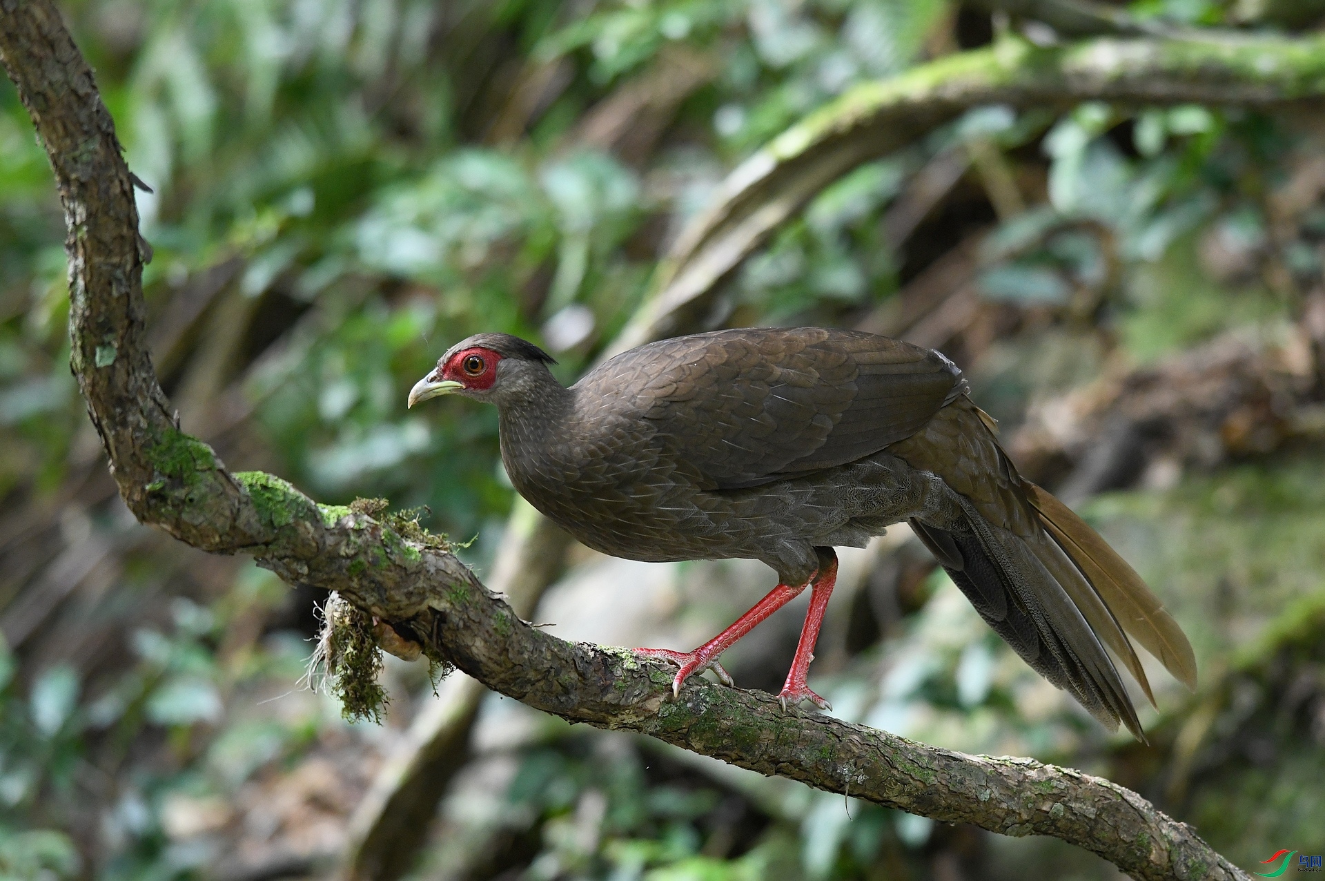 DSC_4095.jpg