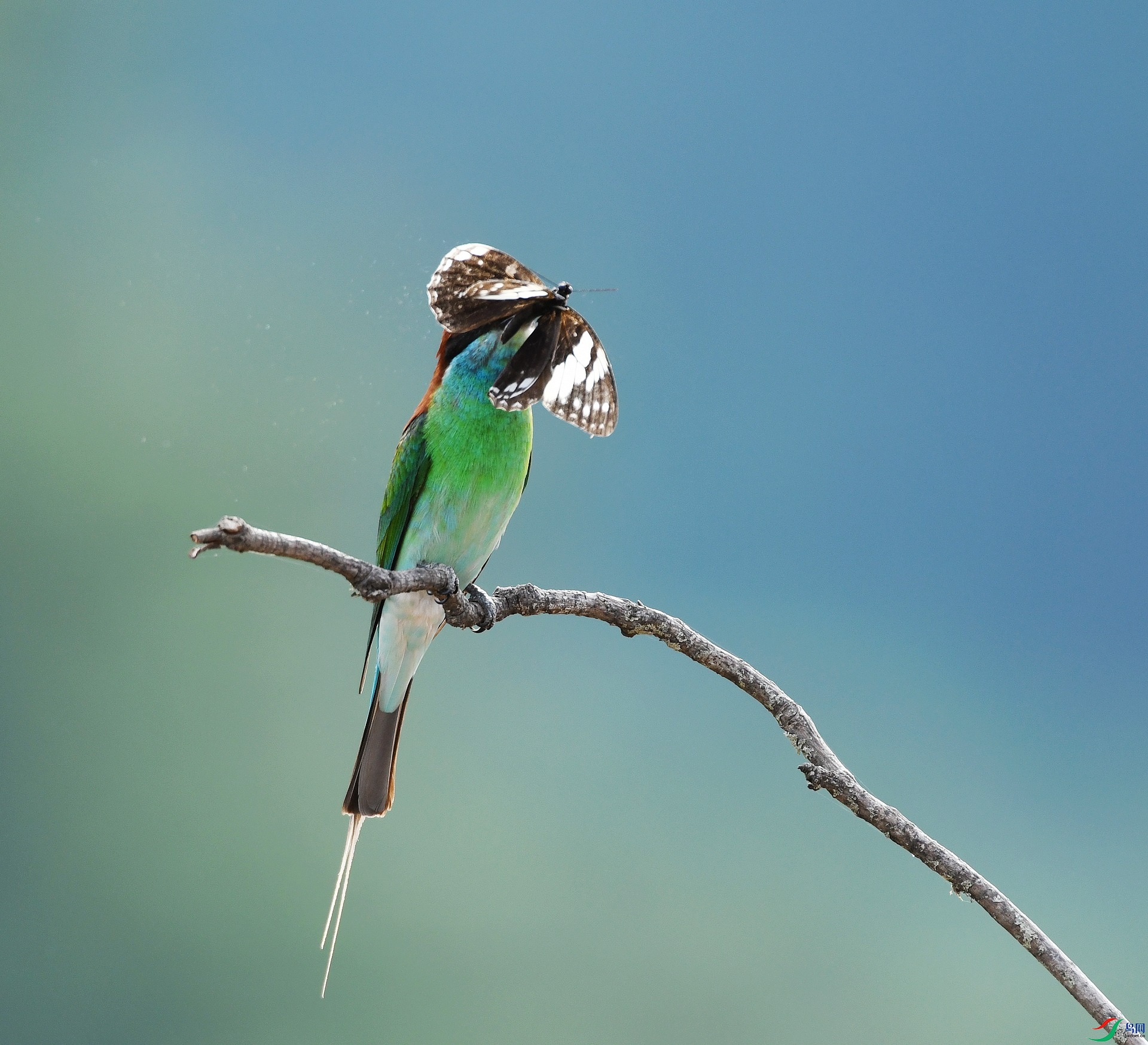 DSC_4727.jpg