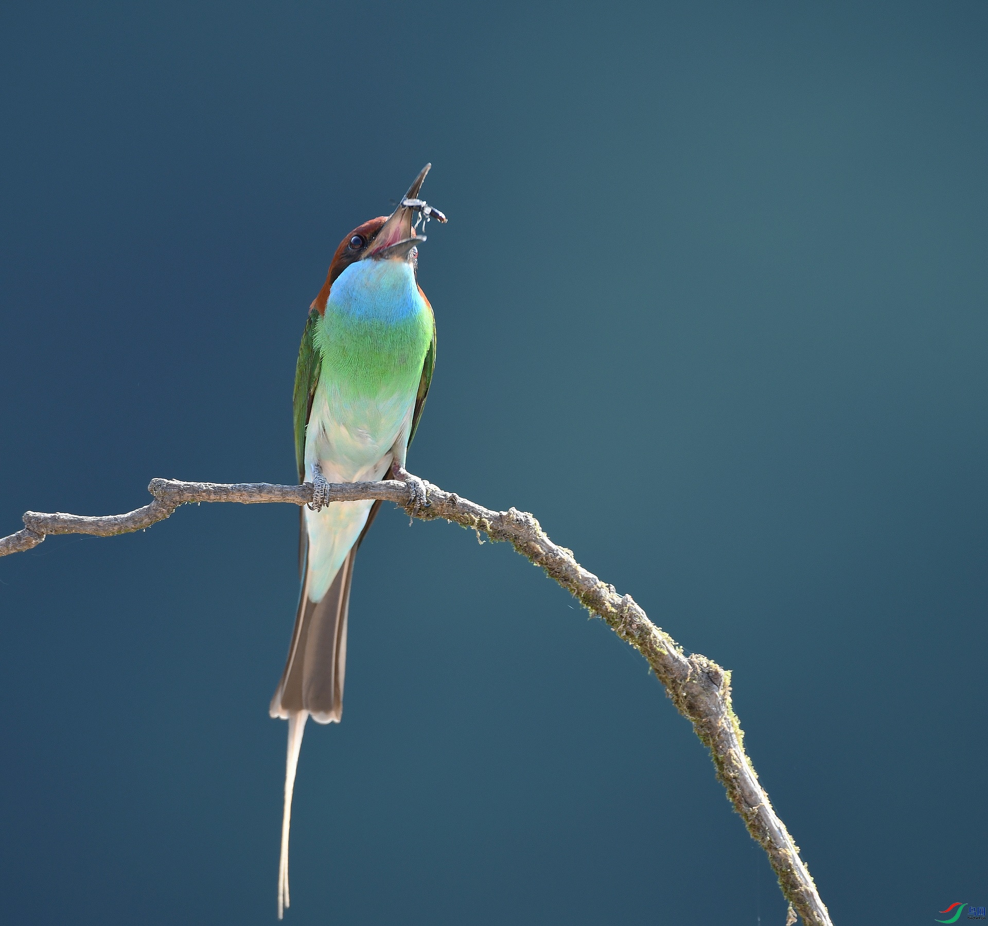 DSC_8430.jpg