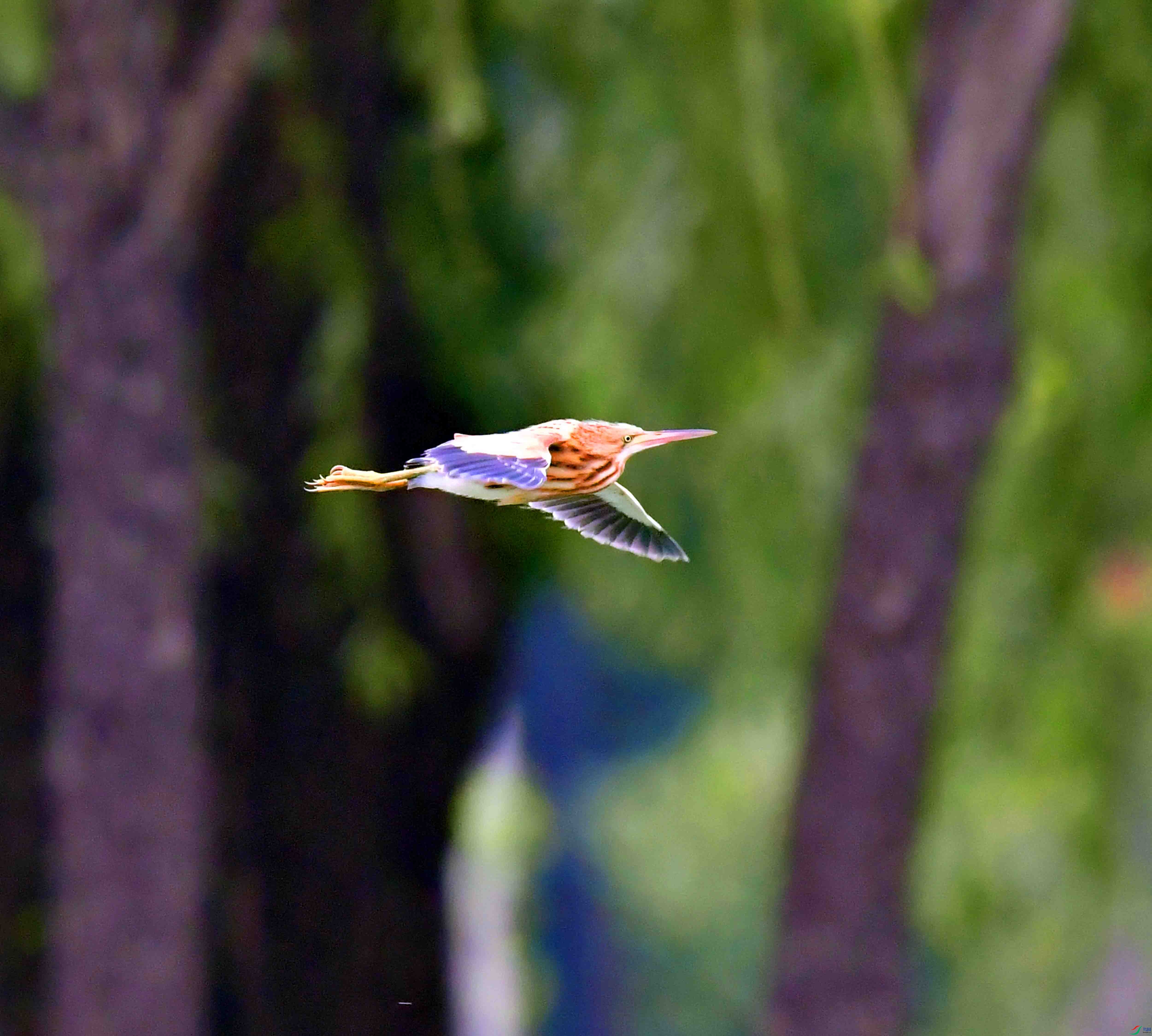 DSC_3023.JPG