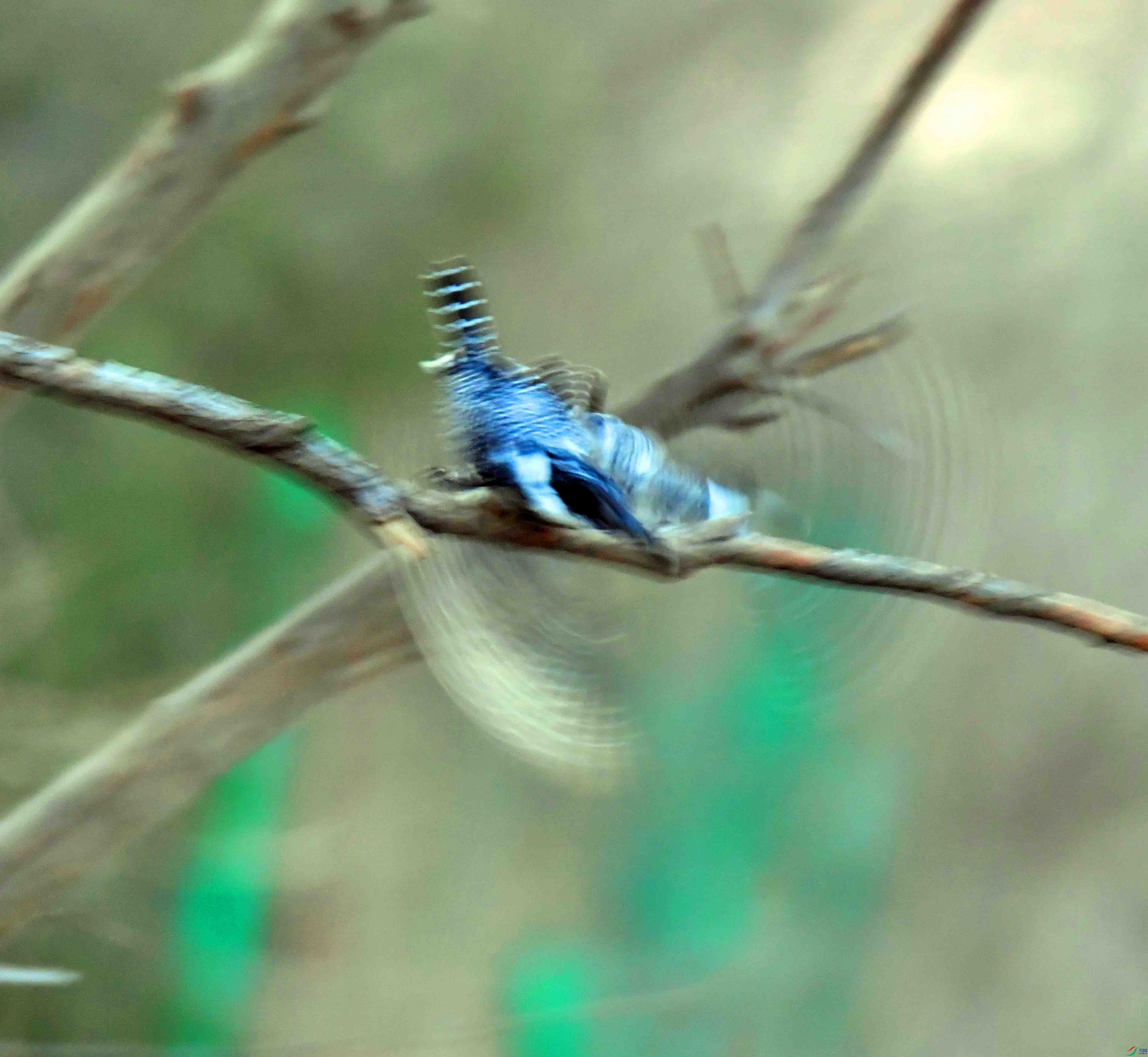 DSC_8049.JPG