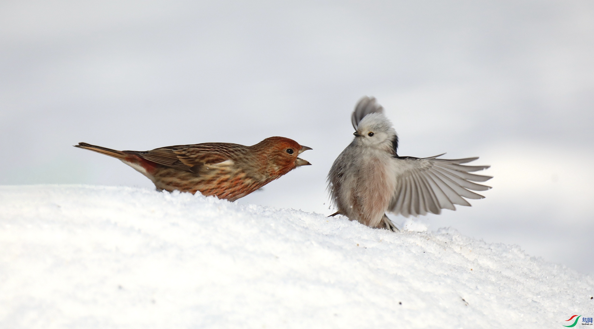 9G8A9015 ����.jpg