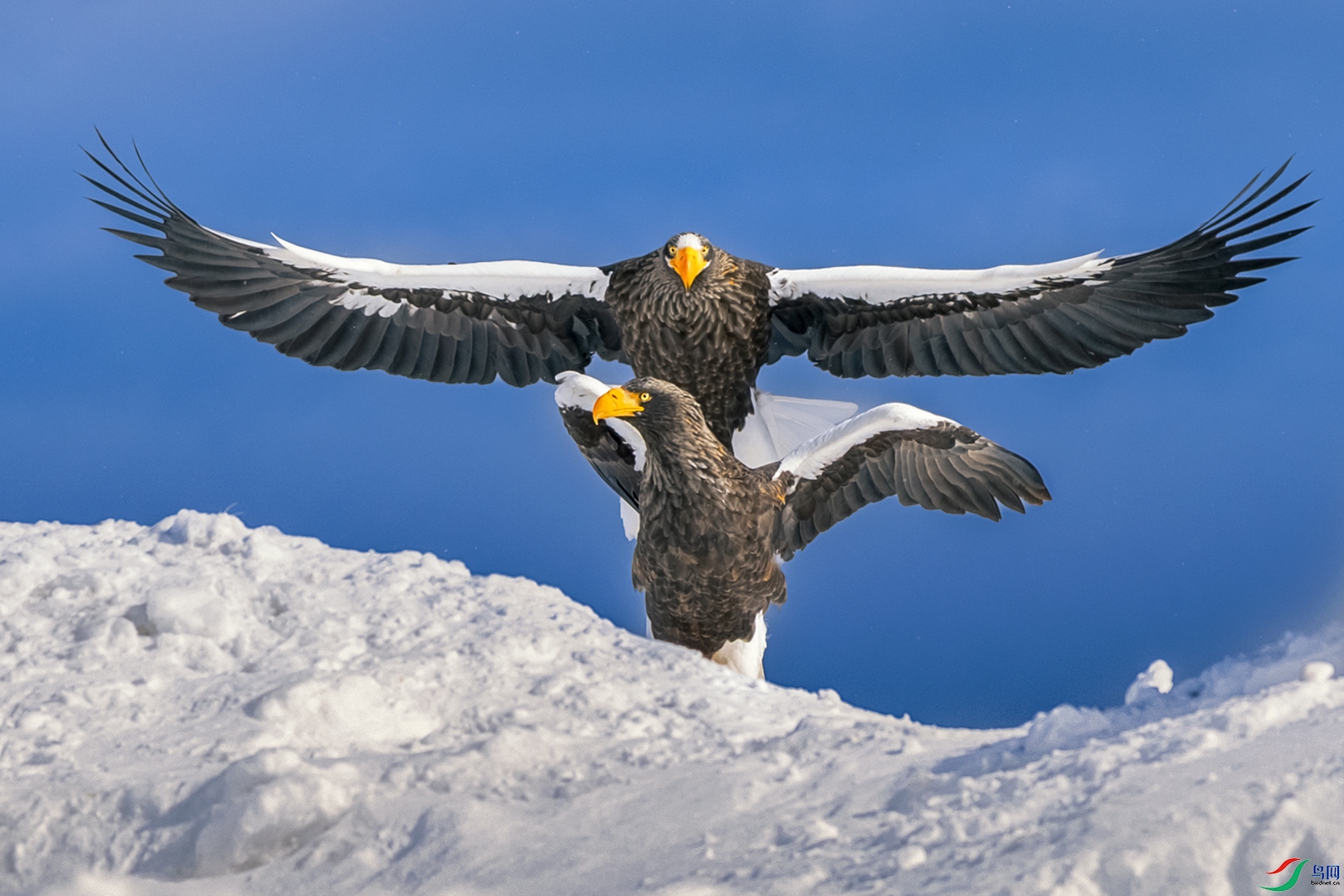 ��ͷ����----����ʱ��