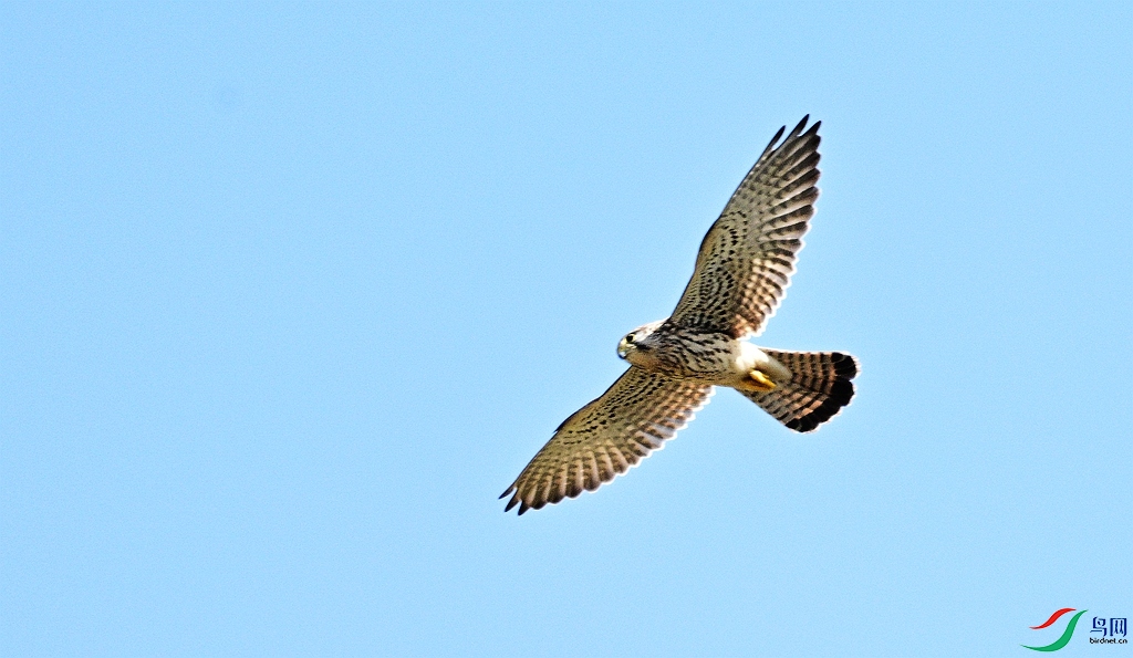 DSC_9851.JPG