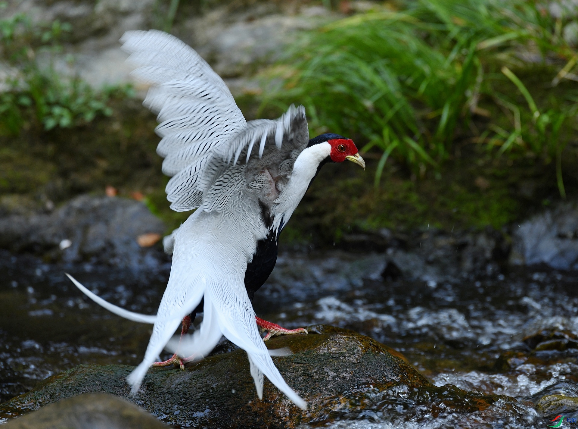 DSC_7824.jpg
